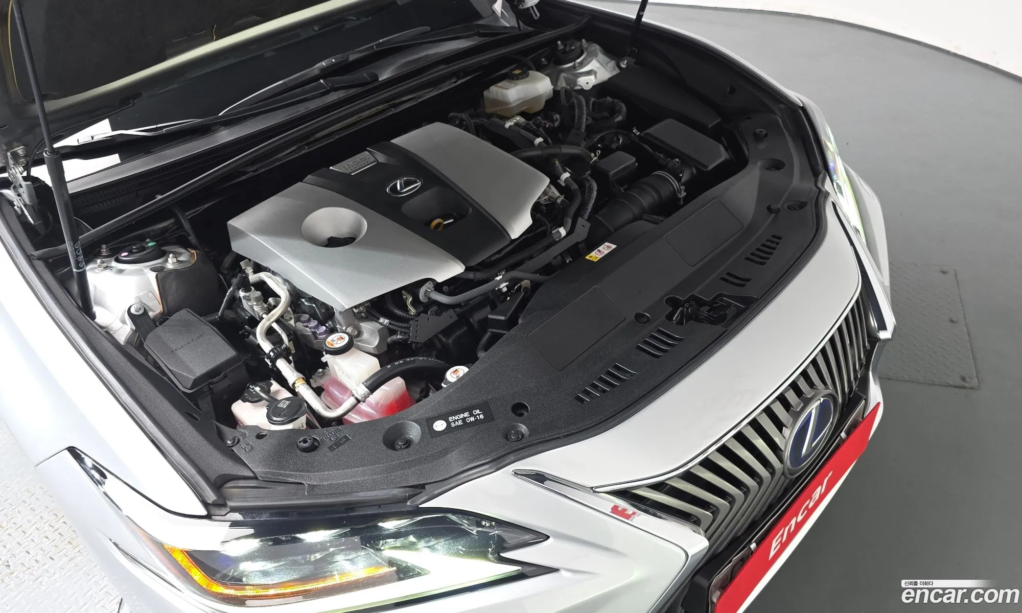 Lexus ES300h 7th Gen 2019 — 6