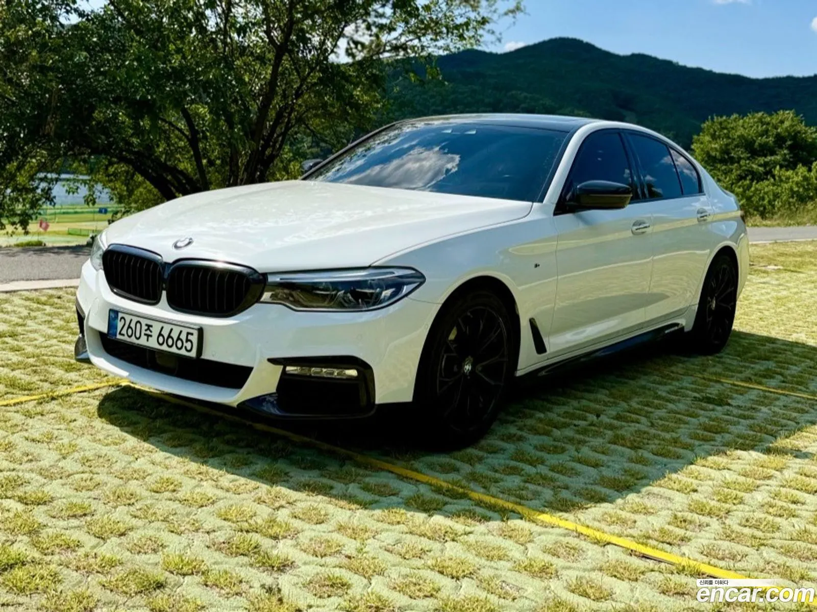 BMW 5 Series 2017 — 16