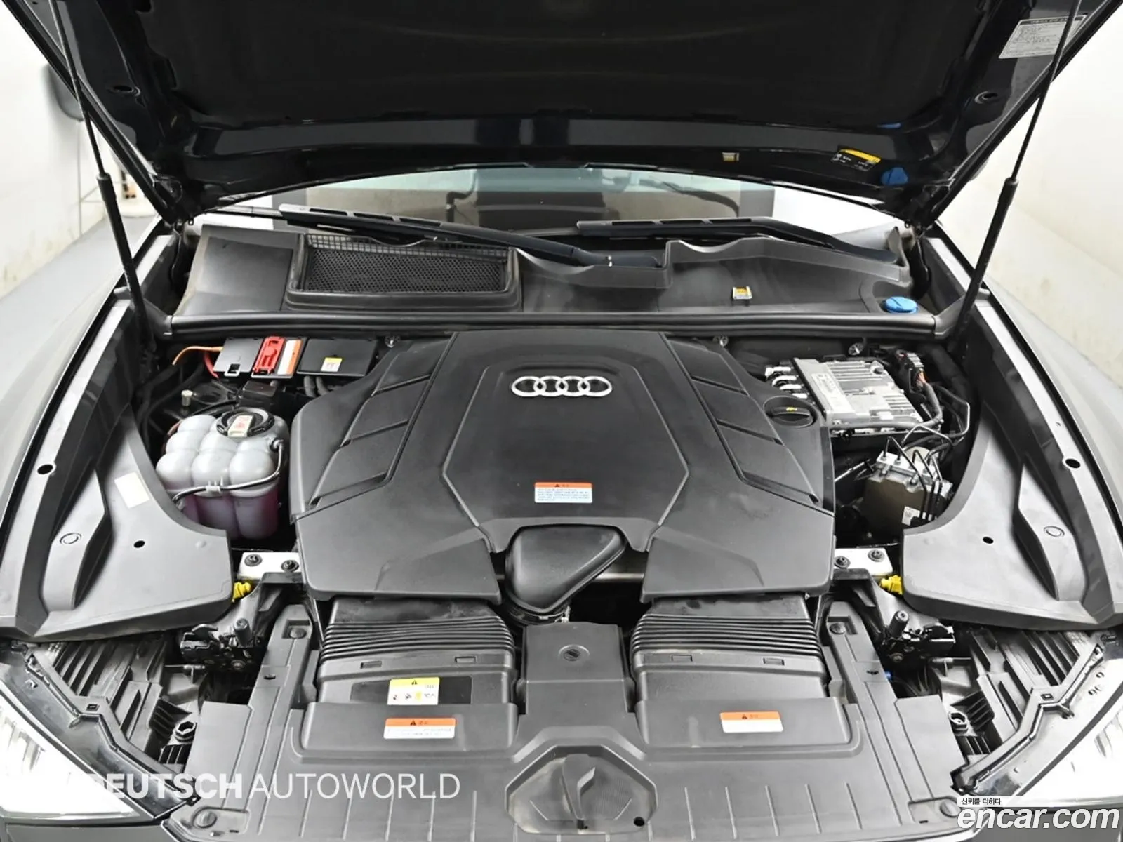 Audi Q8 2021 — 19