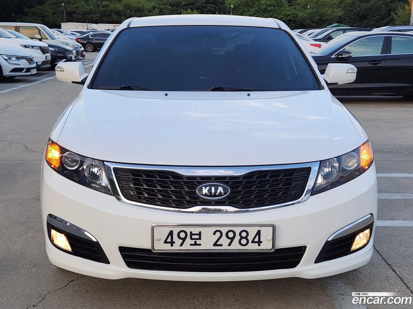 Kia Lotze Innovation