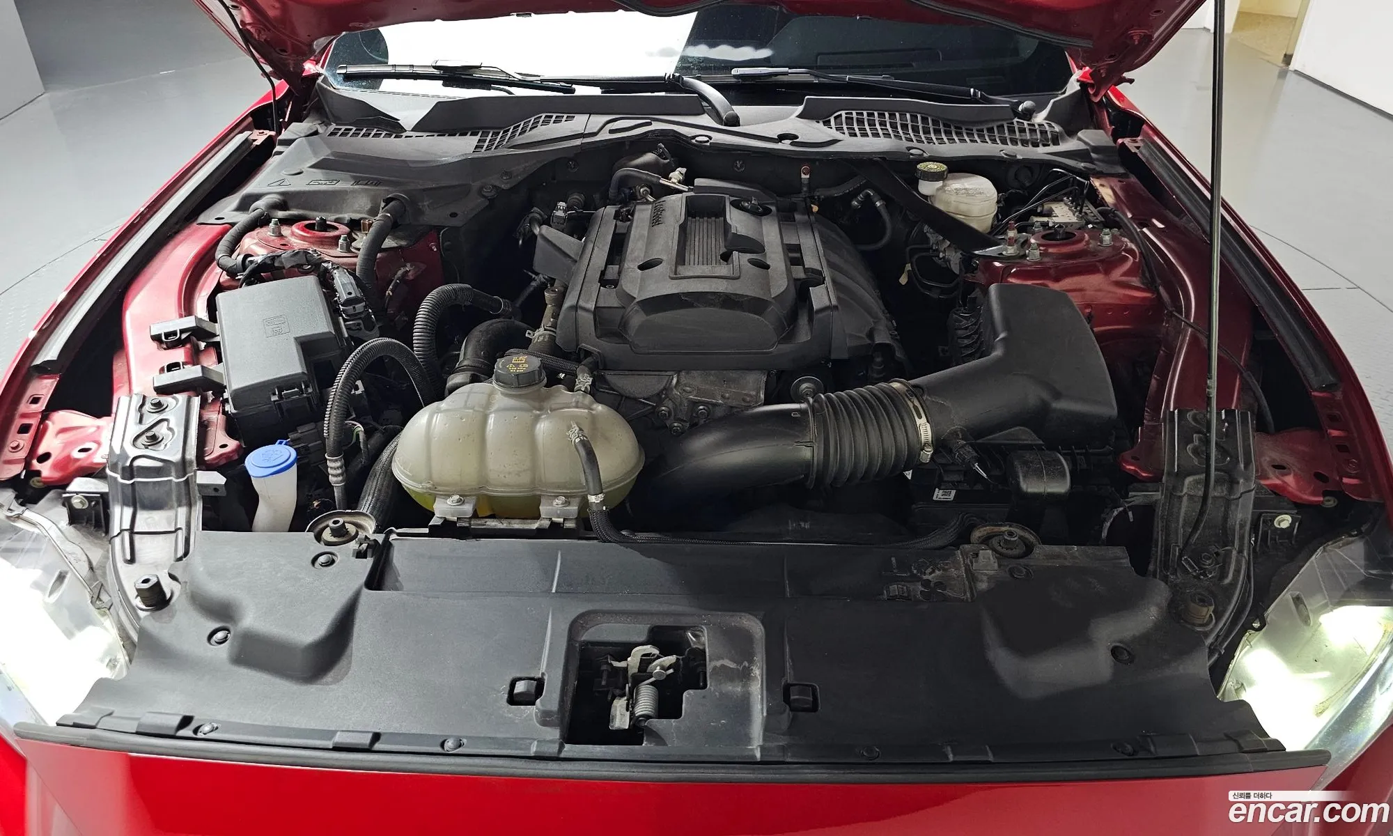 Ford Mustang 2022 — 14