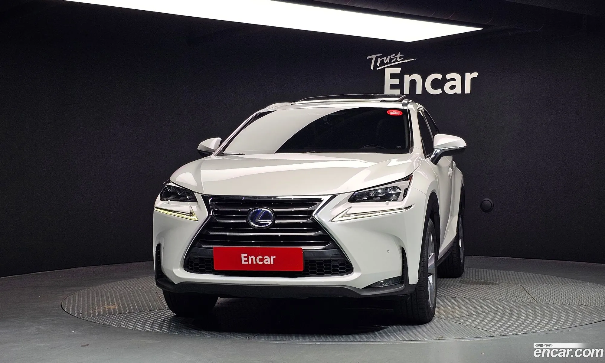 Lexus NX300h
