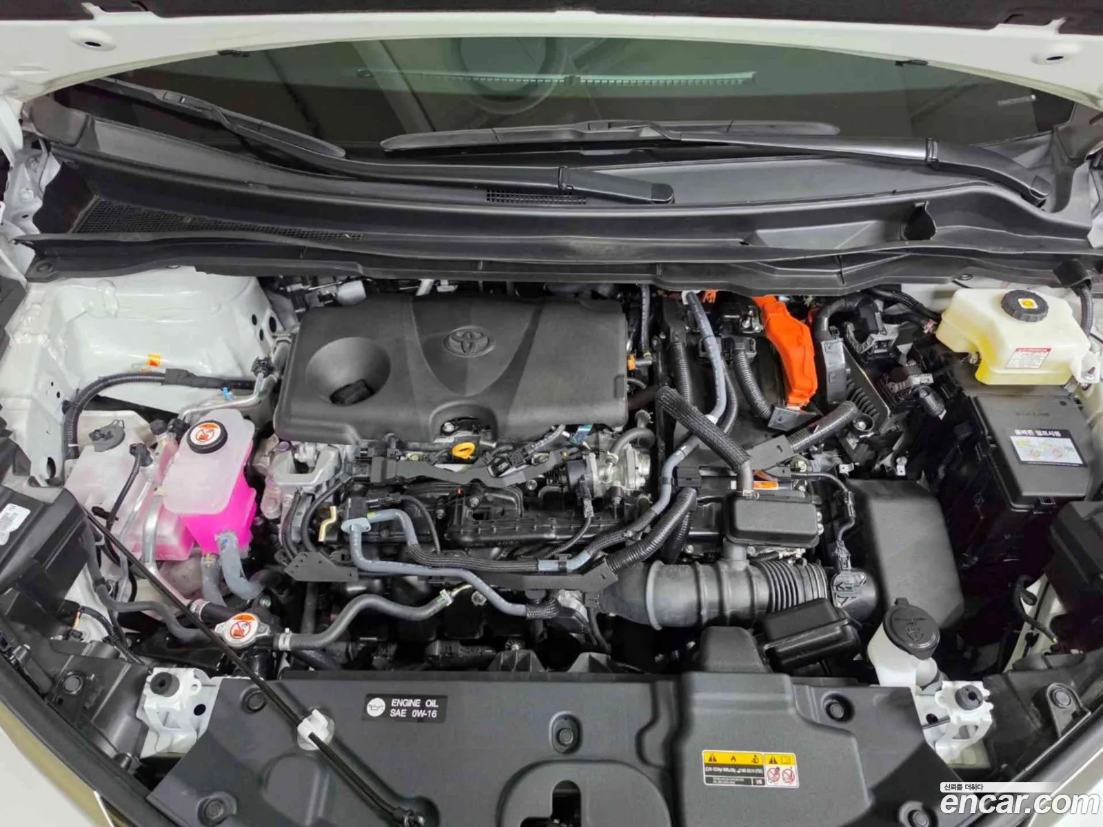 Toyota Sienna 2025 — 3
