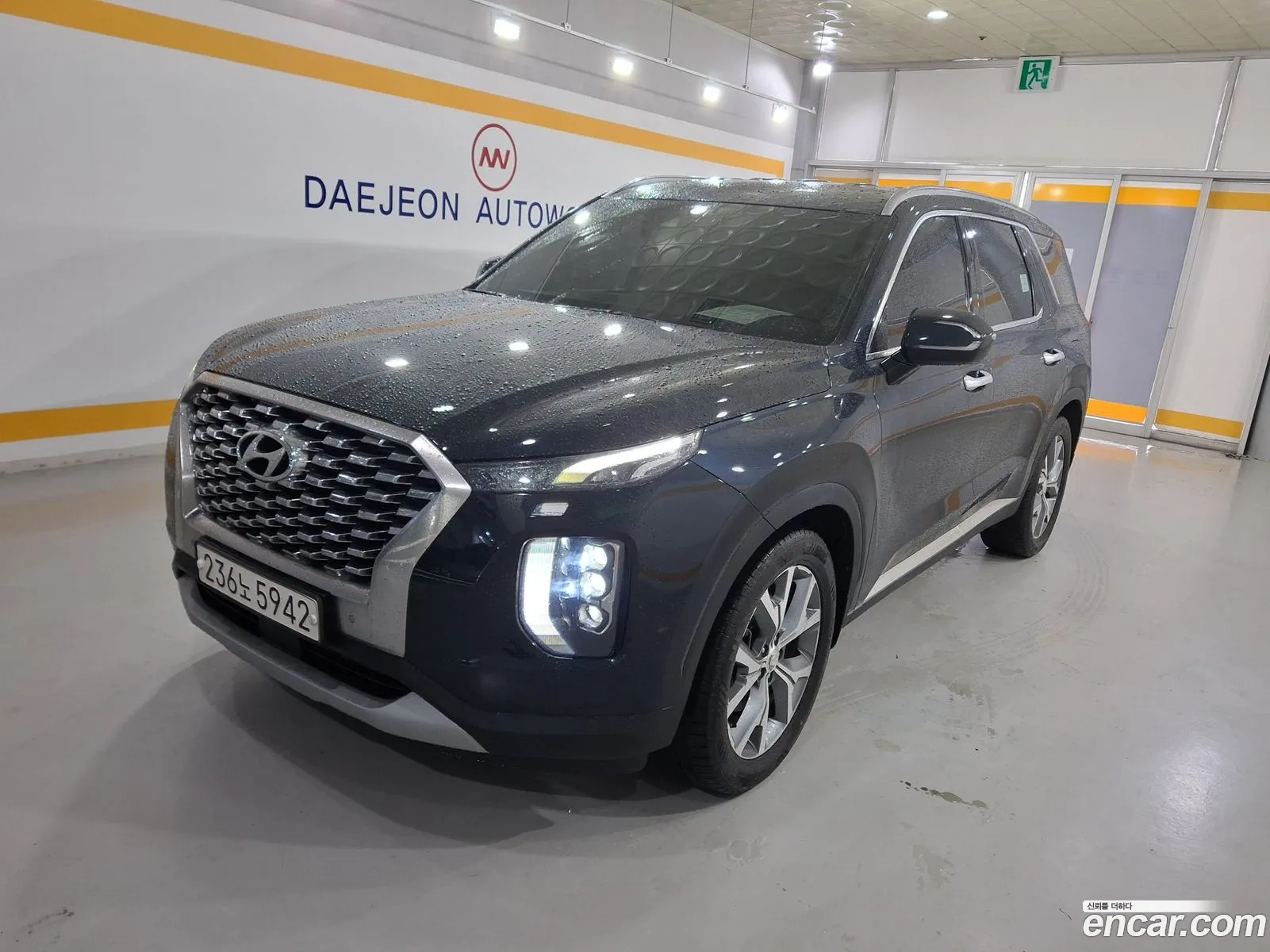 Hyundai Palisade 2018 — 17