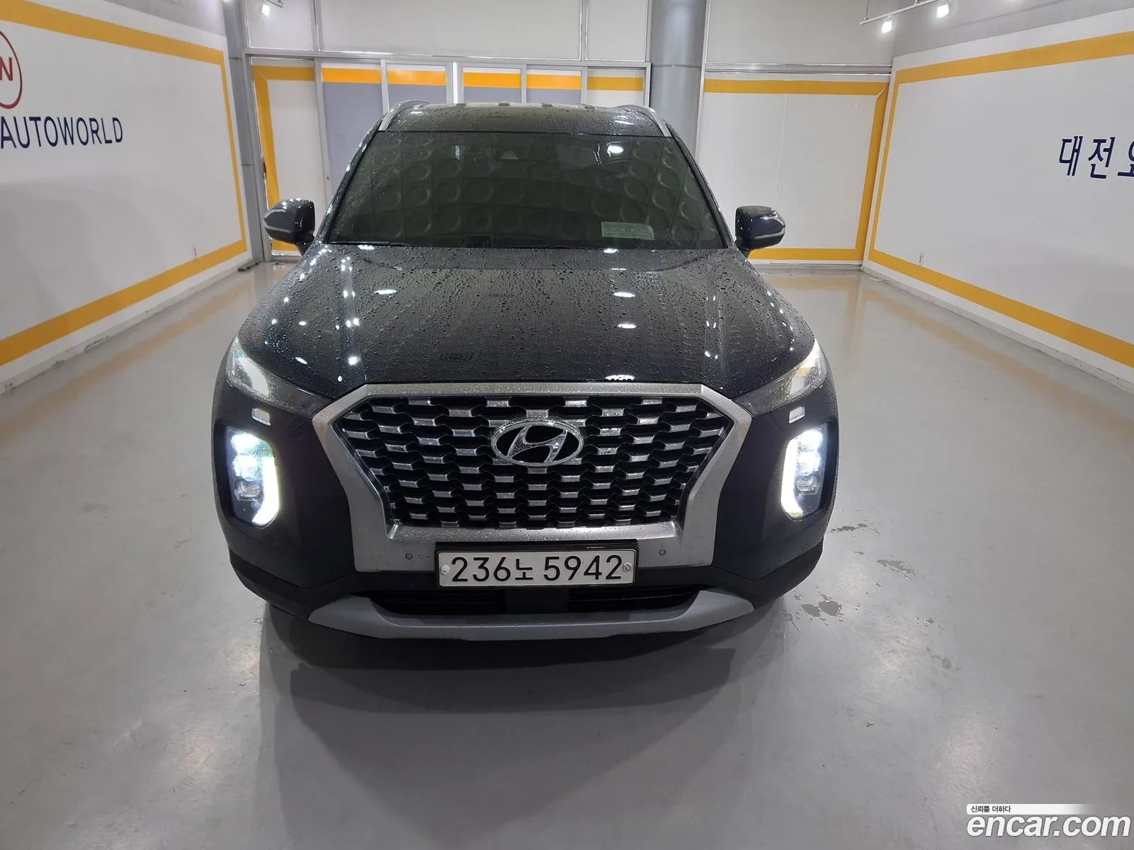 Hyundai Palisade 2018 — 16