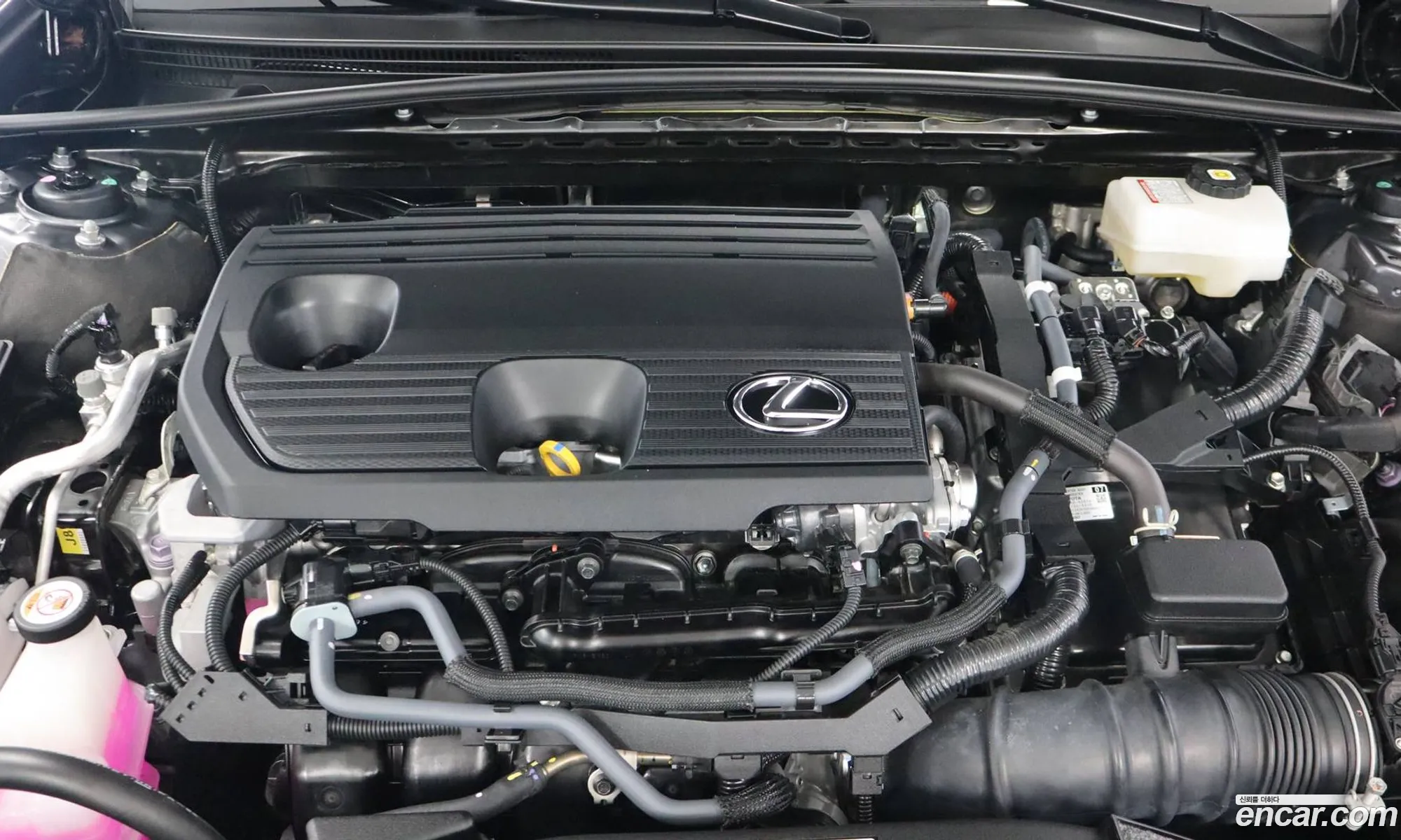 Lexus ES300h 7th Gen 2025 — 2