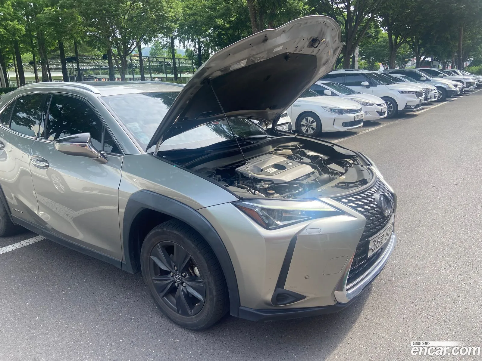 Lexus UX250h