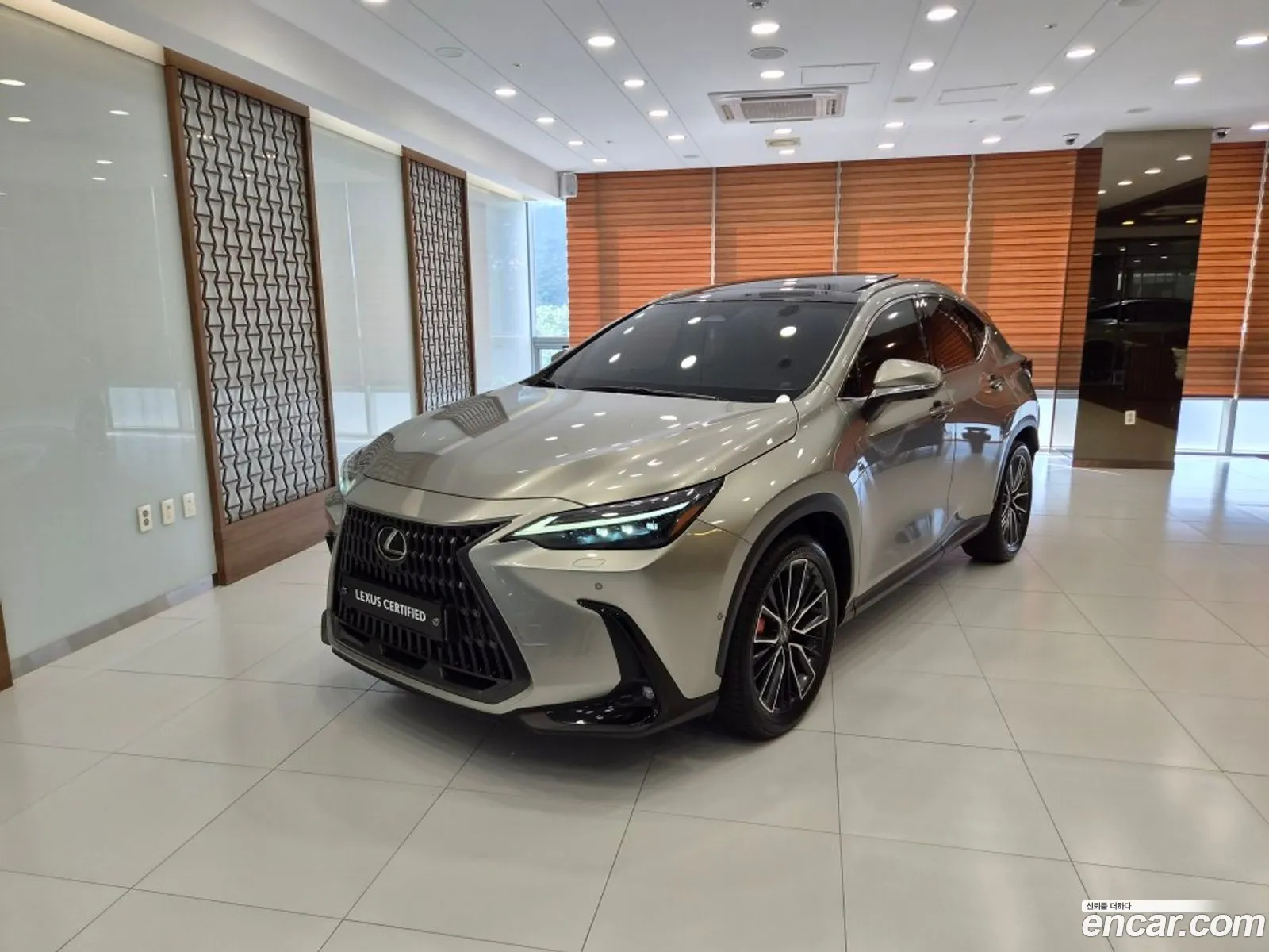 Lexus NX350h 2023 — 3