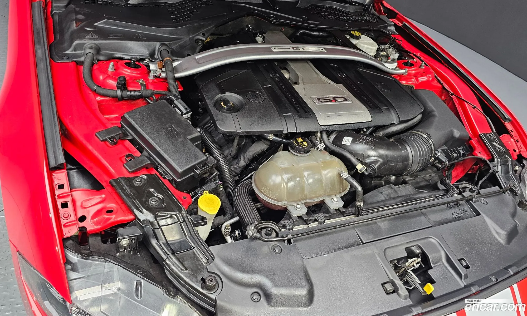Ford Mustang 2019 1FATP8FF4K5139532 — 12