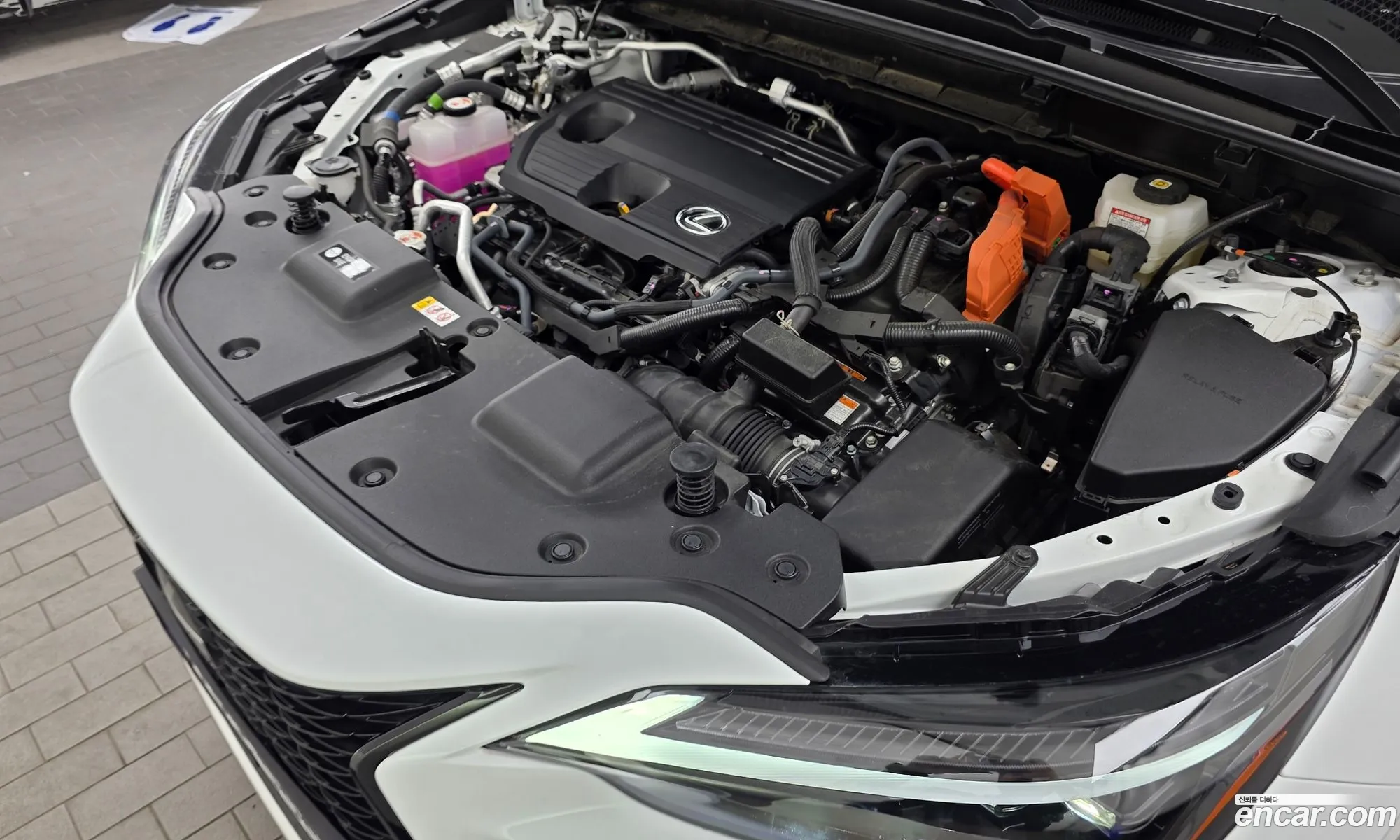Lexus NX450h+ 2025 — 8