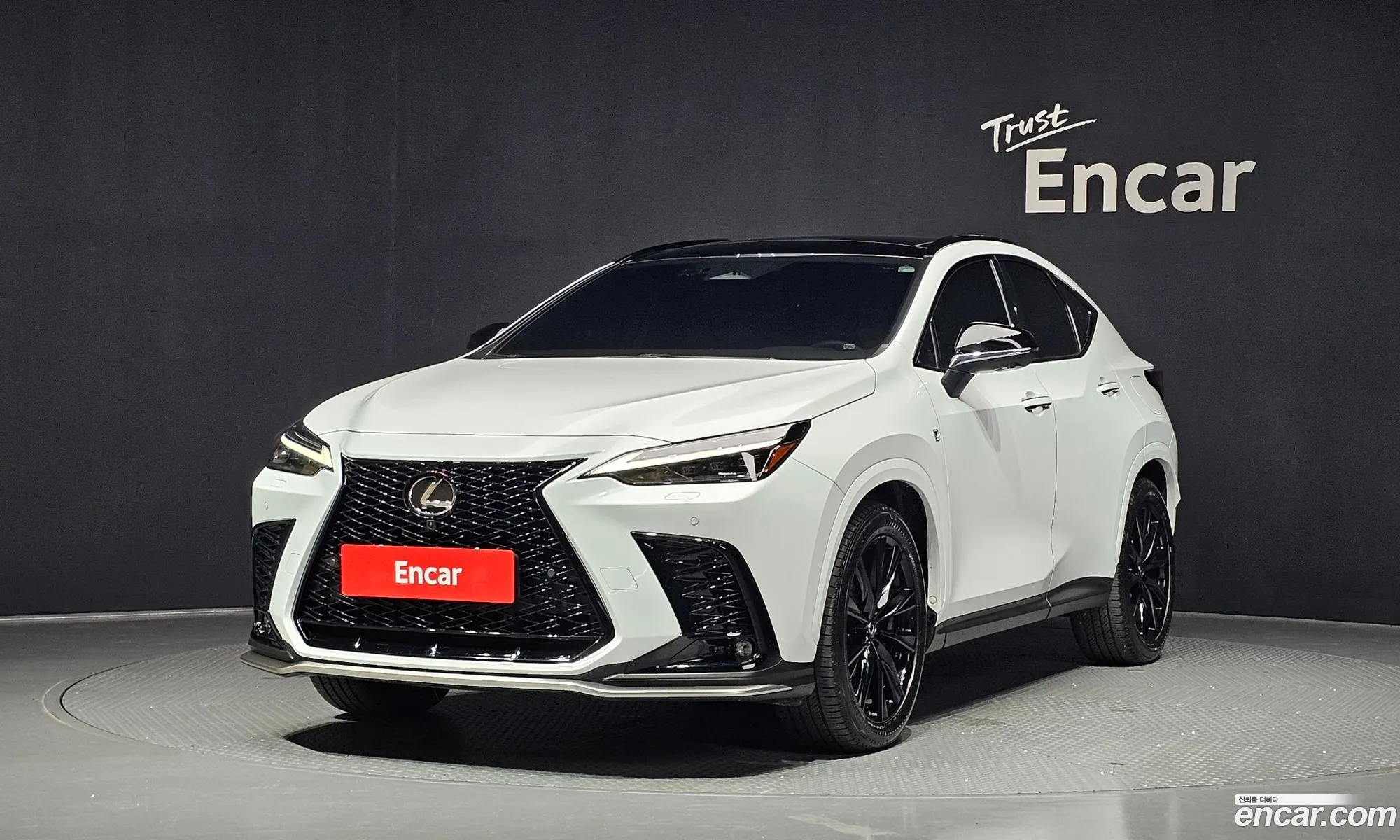 Lexus NX450h+ 2025 — 12