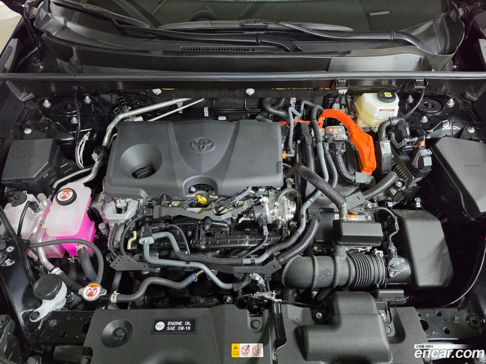 Toyota RAV4 2025 — 5