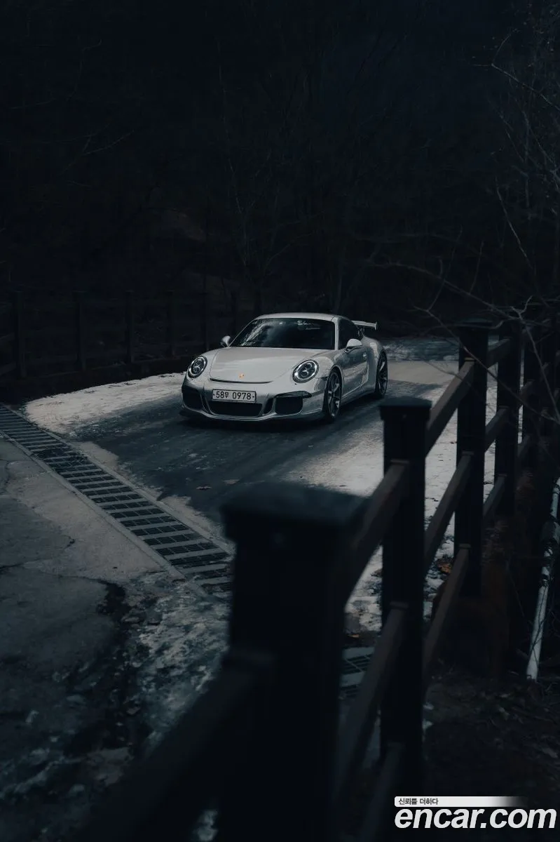 Porsche 911 2015 — 20