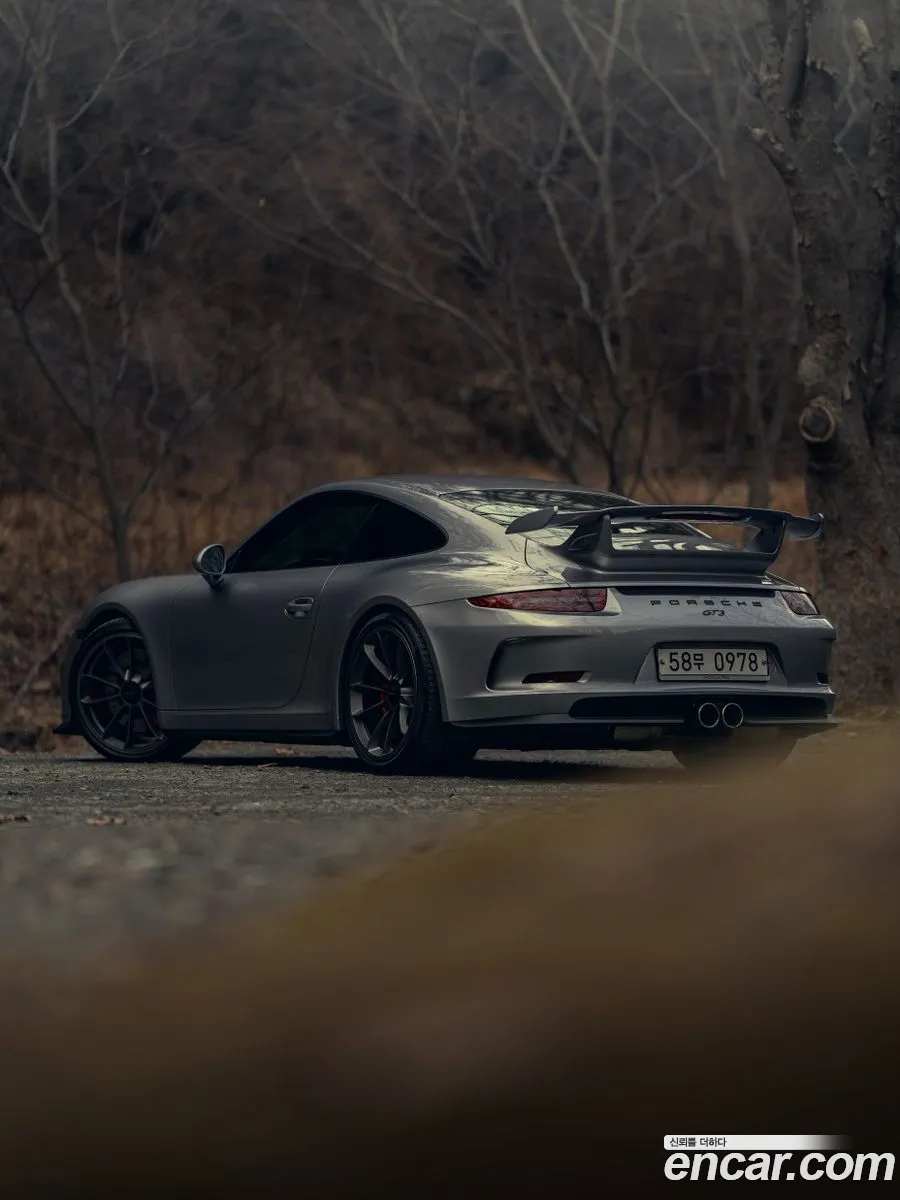 Porsche 911 2015 — 4