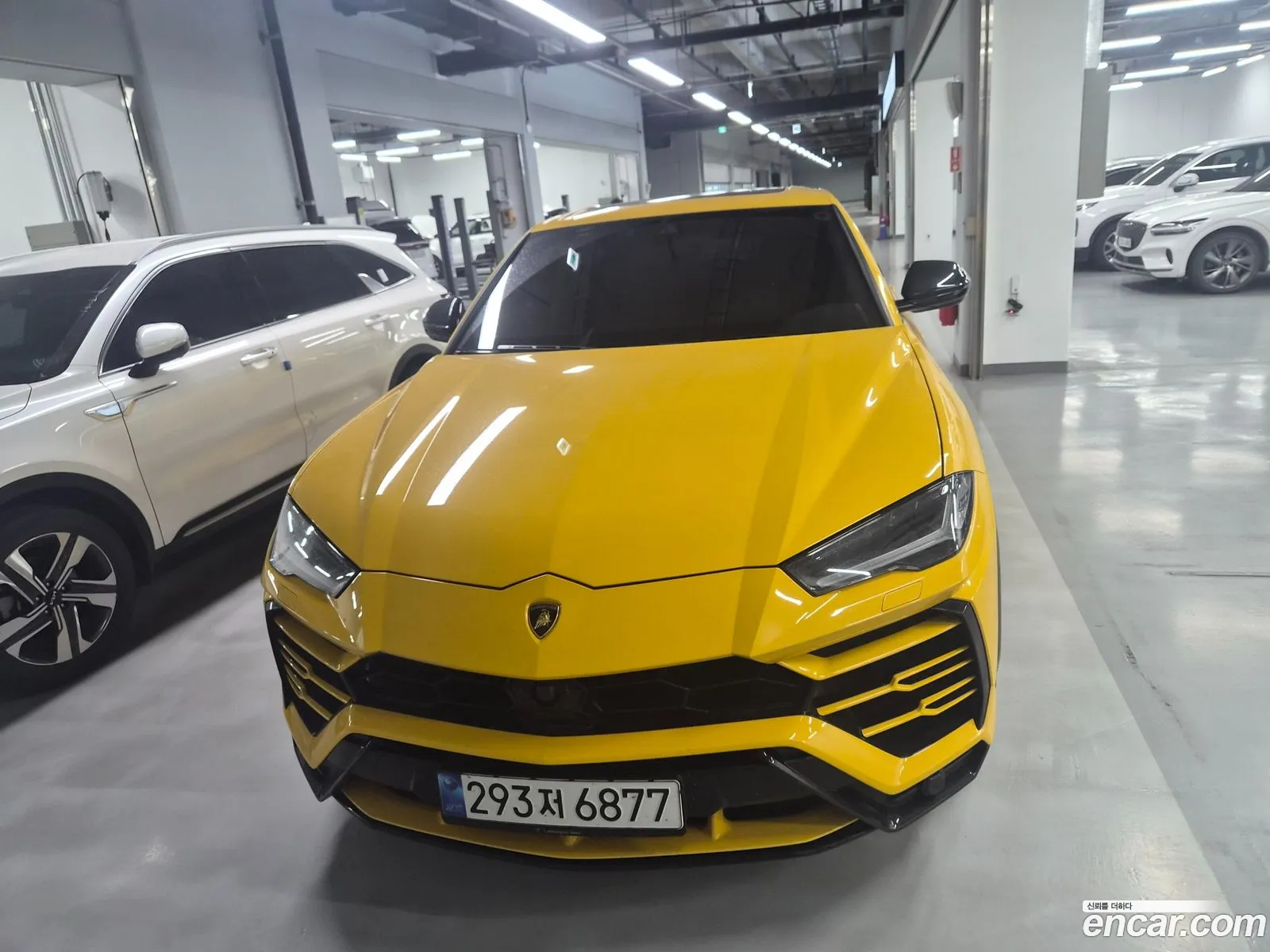Lamborghini Urus 2021 — 5