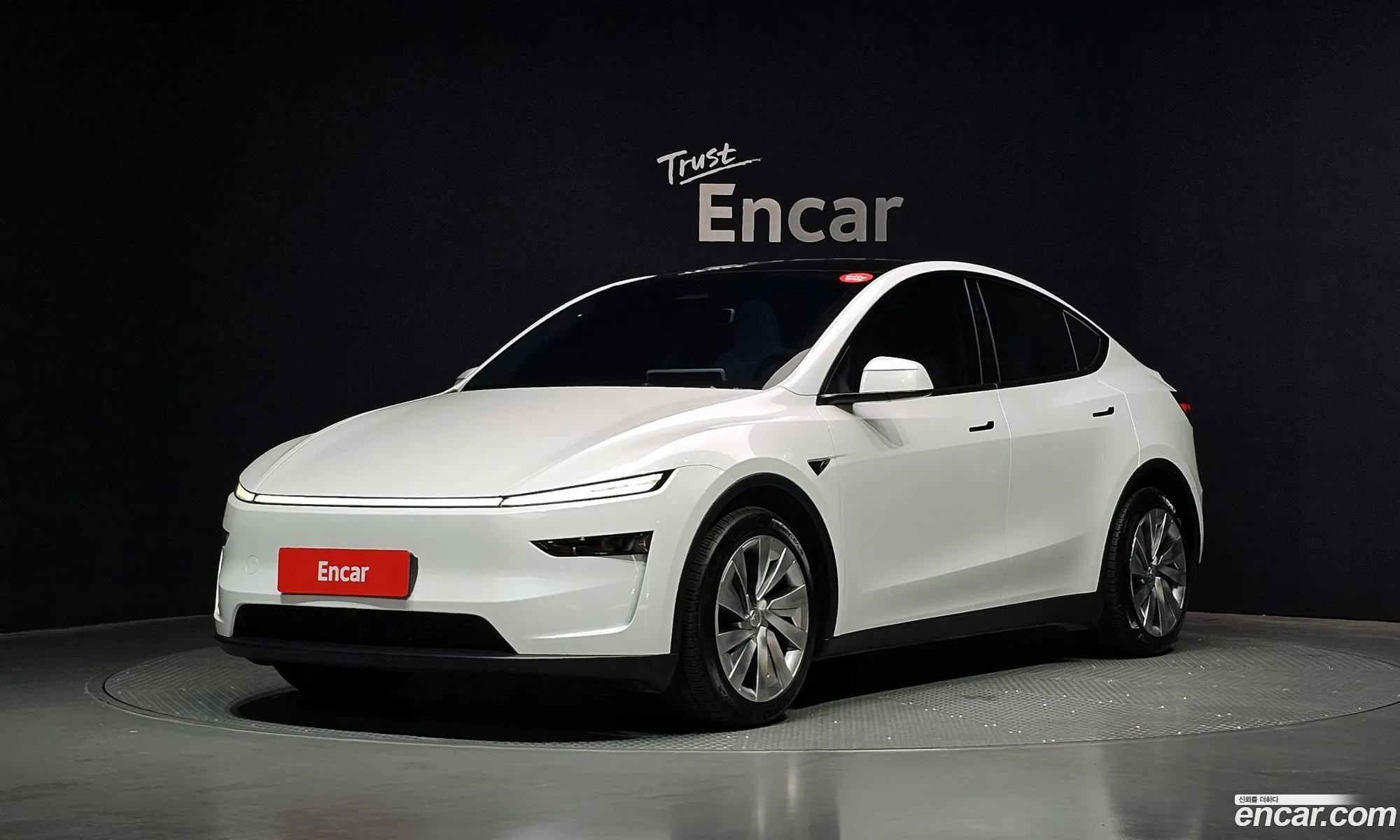 Tesla Model Y 2025 LRWYGCFJ9SC101102 — 12