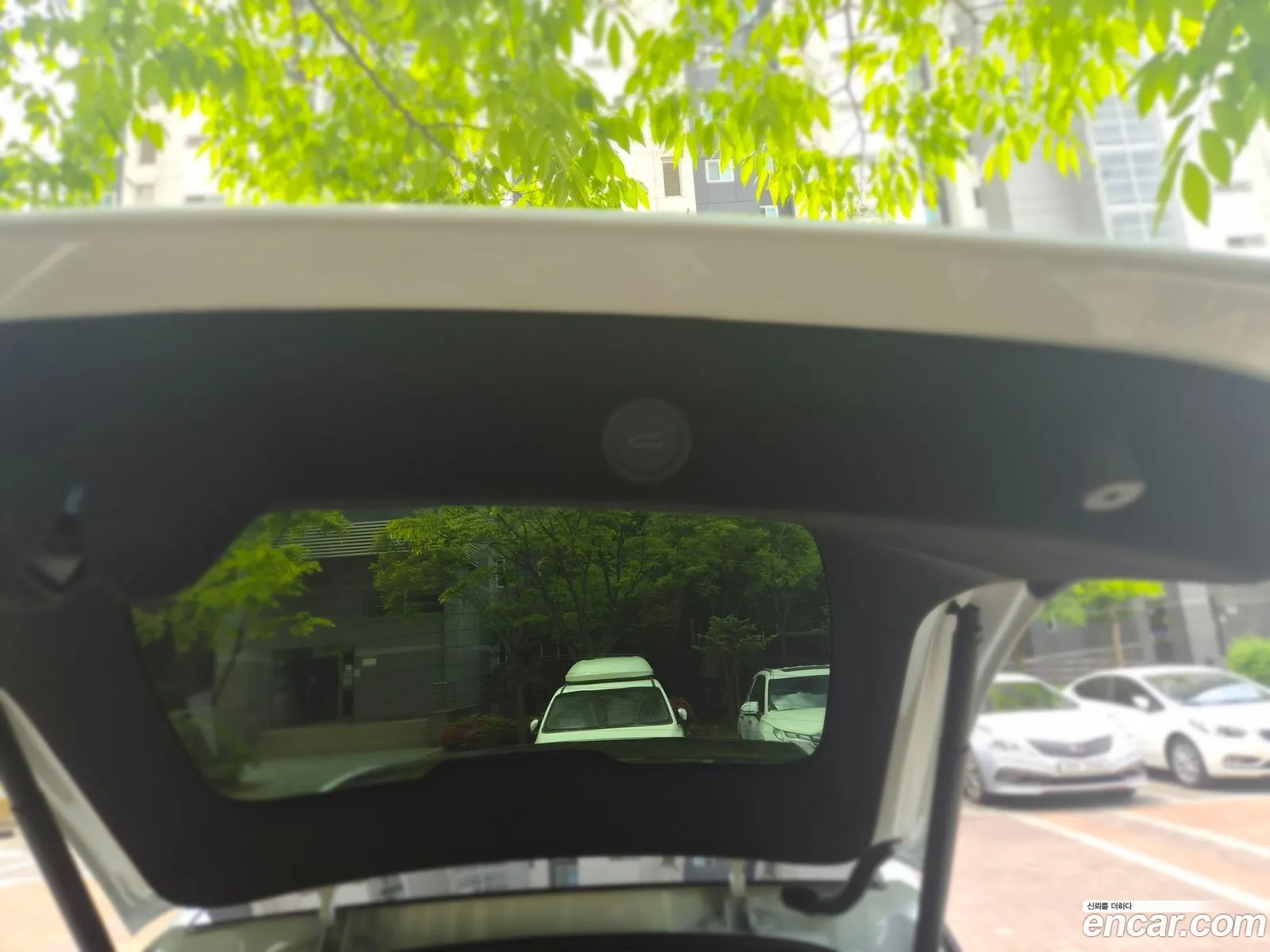 Tesla Model Y 2026 — 19
