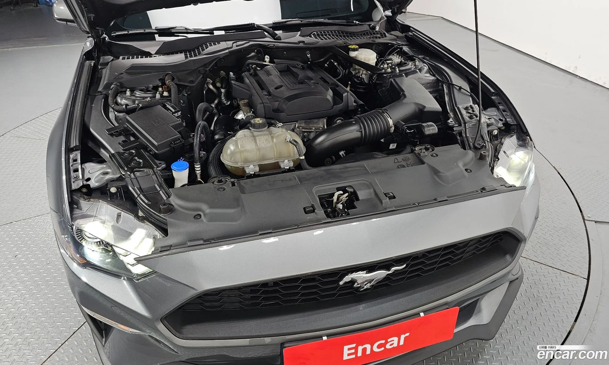 Ford Mustang 2022 — 18