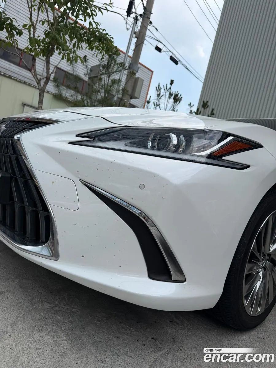 Lexus ES300h 7th Gen 2023 — 13