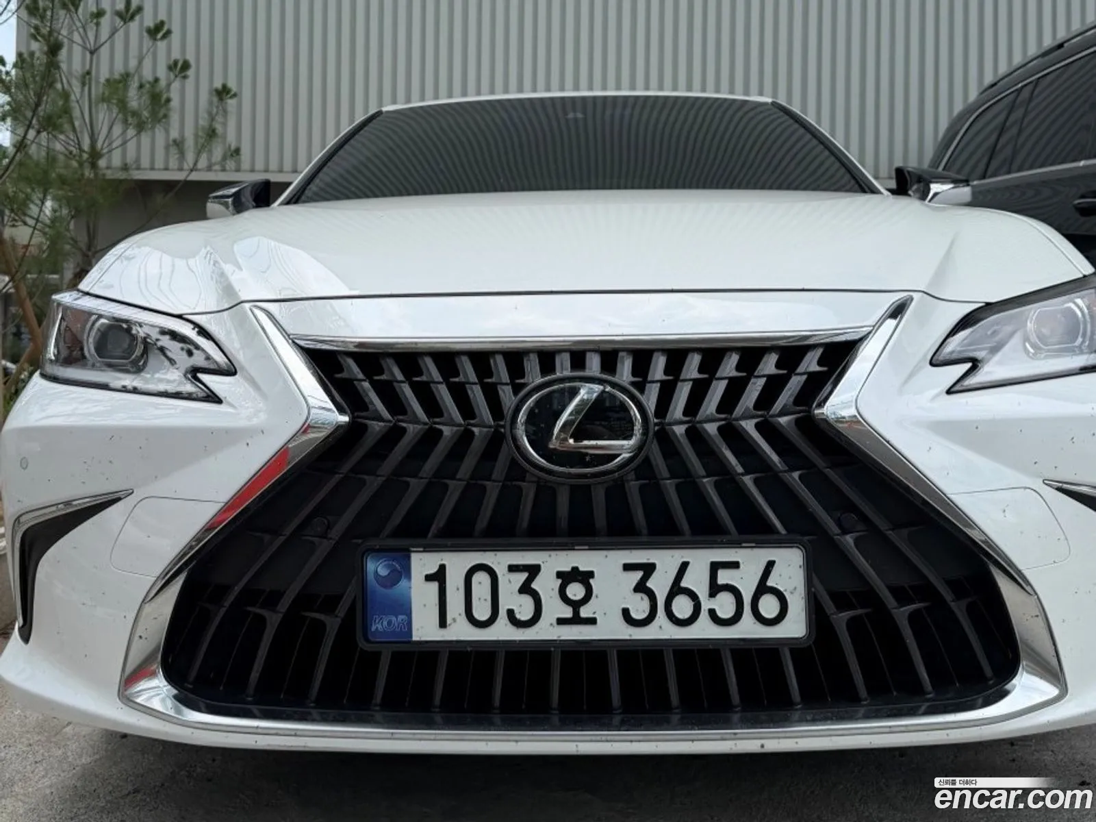 Lexus ES300h 7th Gen 2023 — 18