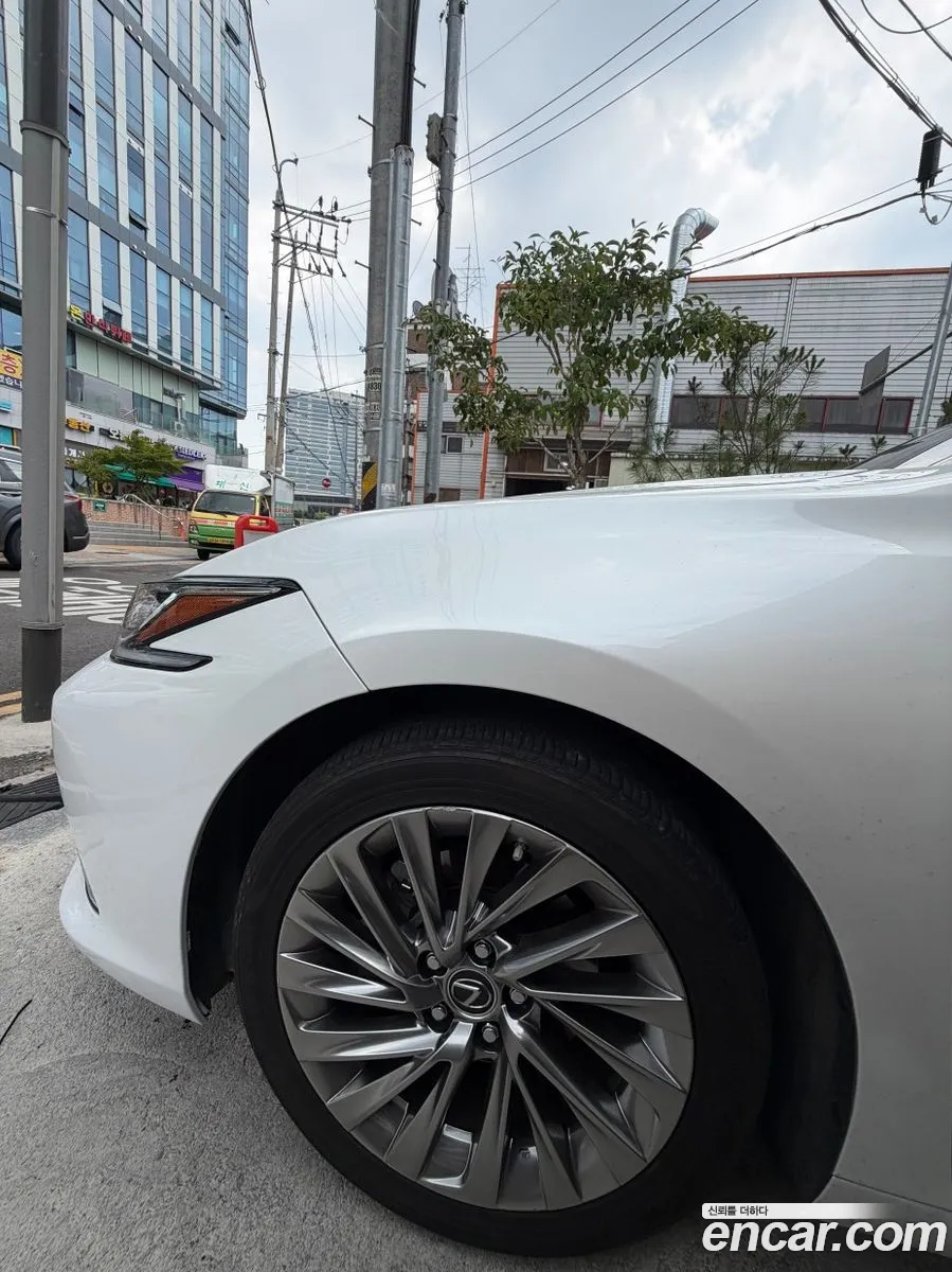 Lexus ES300h 7th Gen 2023 — 14