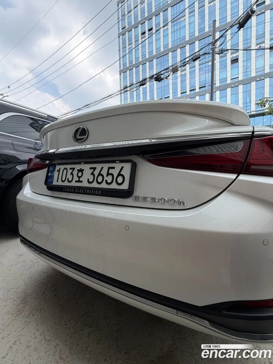 Lexus ES300h 7th Gen 2023 — 12