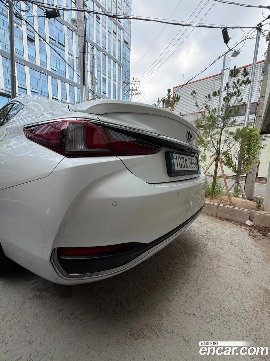 Lexus ES300h 7th Gen 2023 — 8