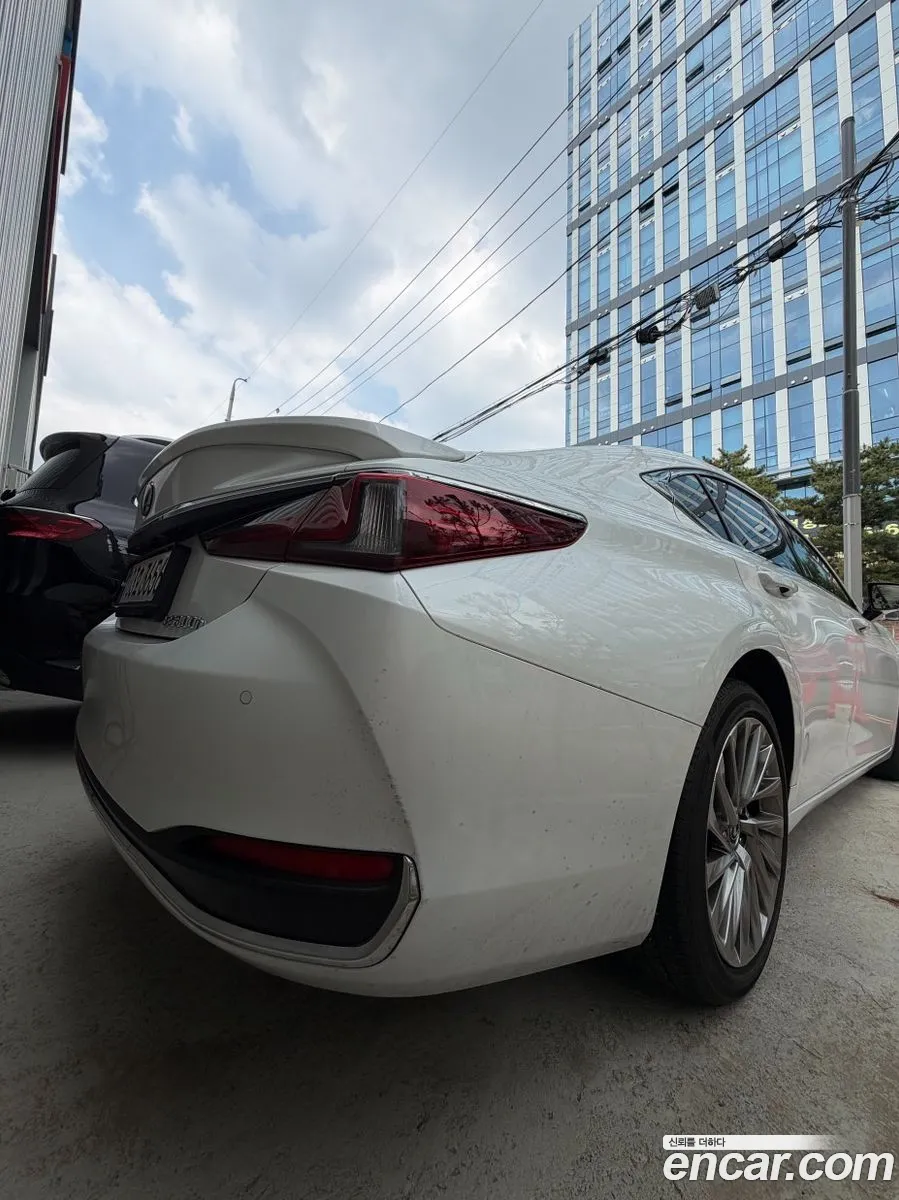 Lexus ES300h 7th Gen 2023 — 19