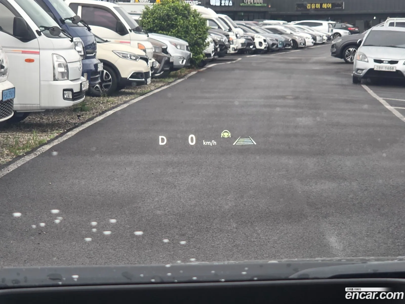Toyota Alphard 2024 — 11