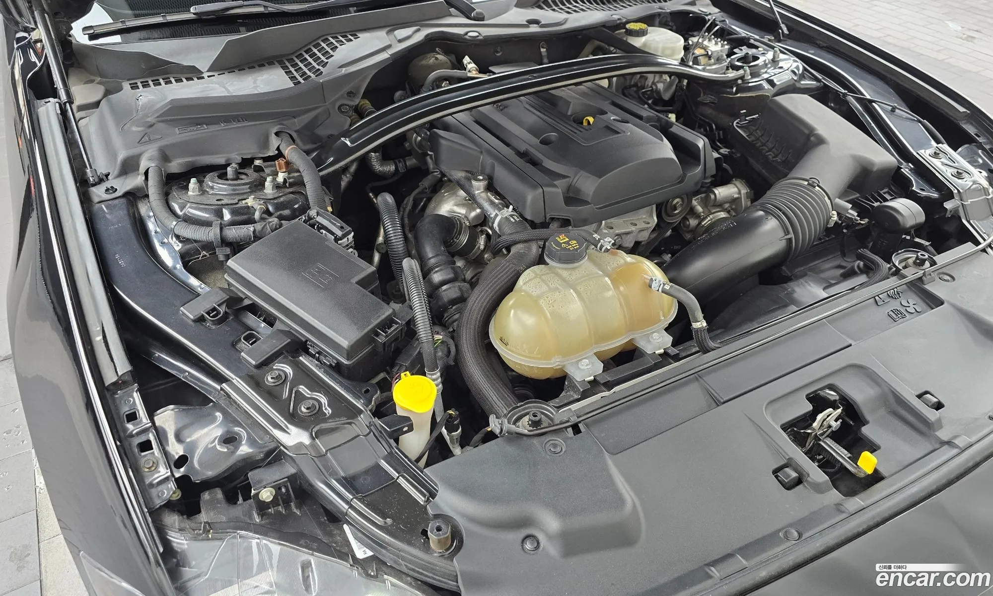 Ford Mustang 2018 1FA6P8TH1J5134838 — 19