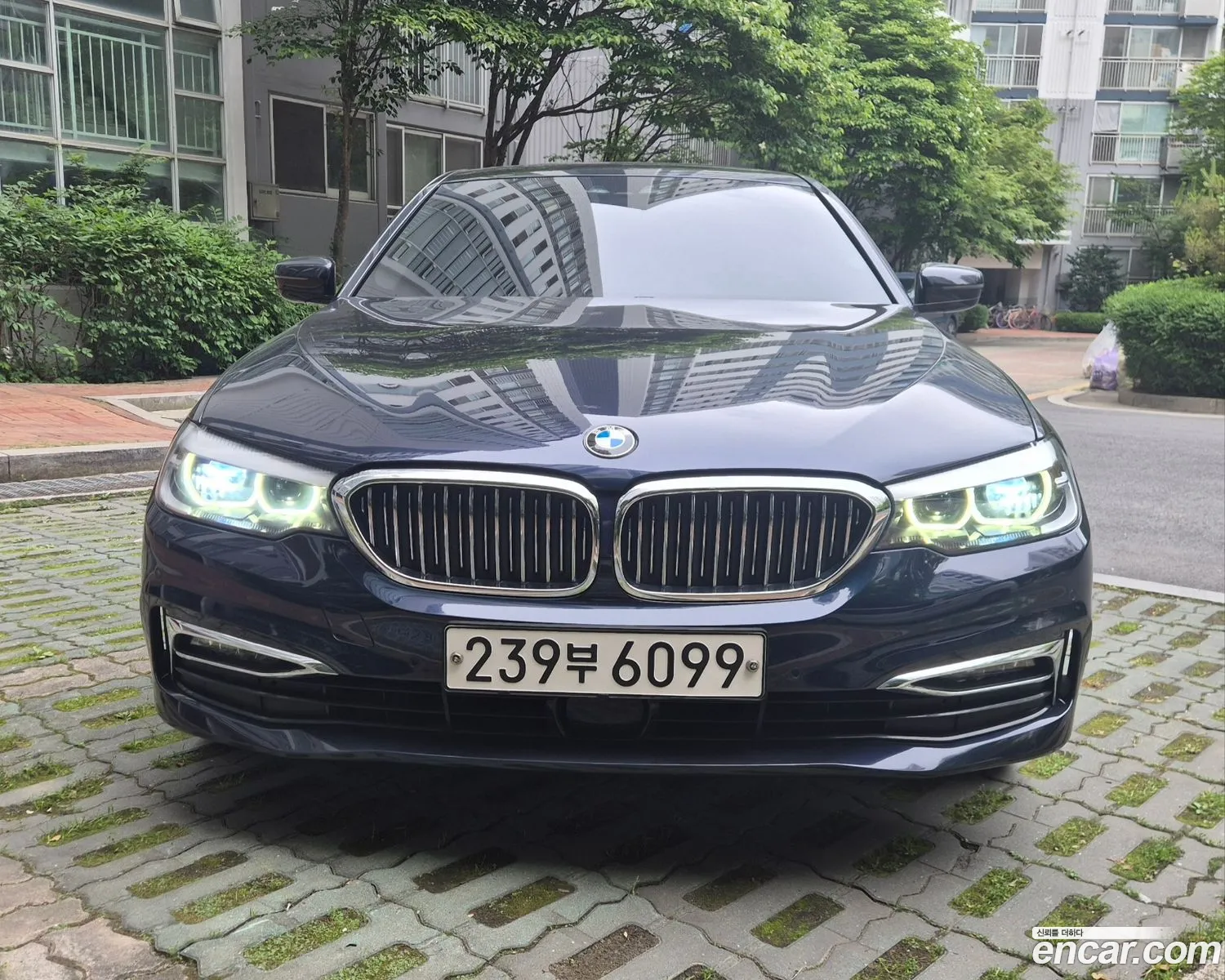 BMW 5 Series 2019 — 9