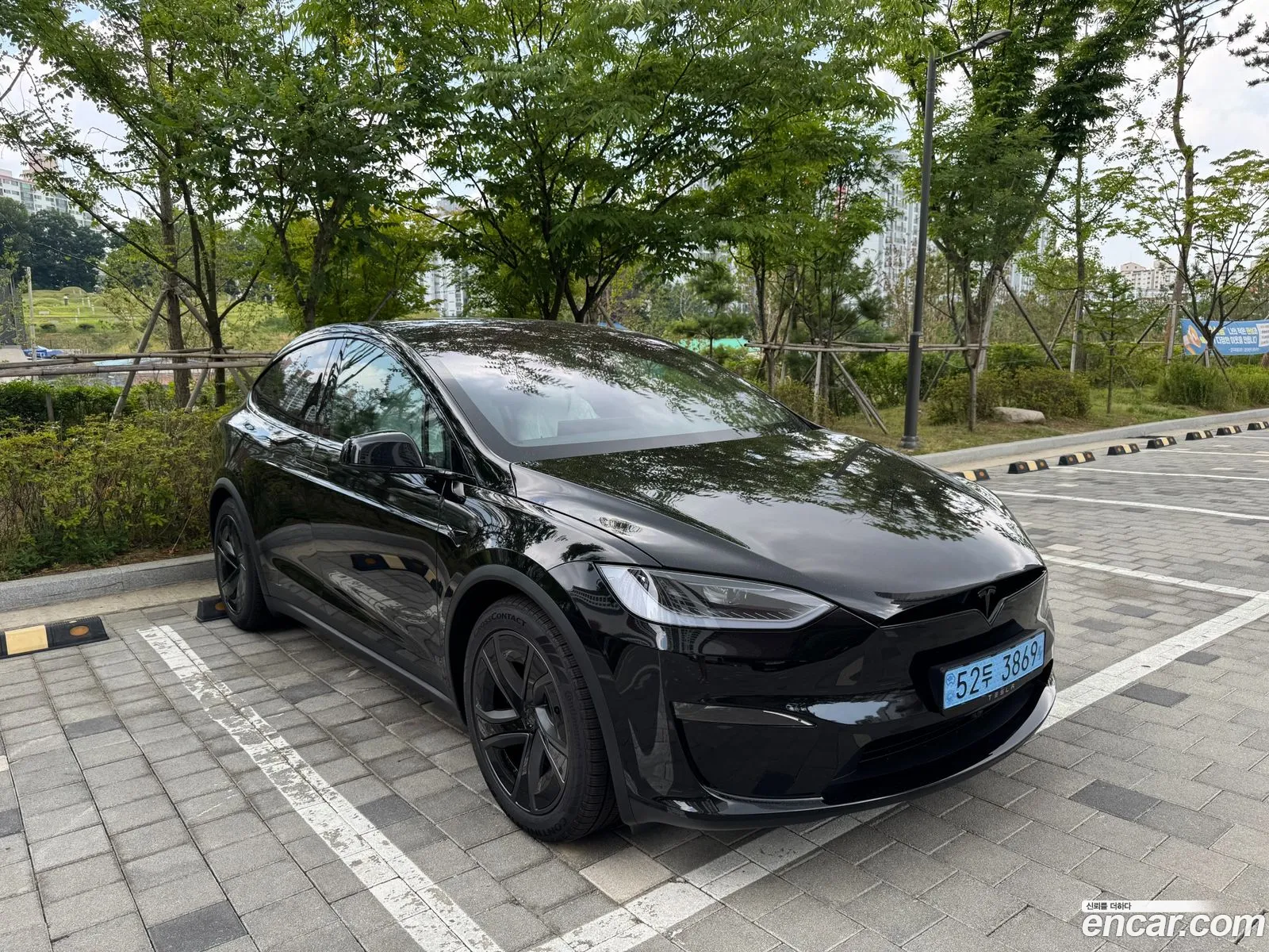 Tesla Model X 2026 — 6