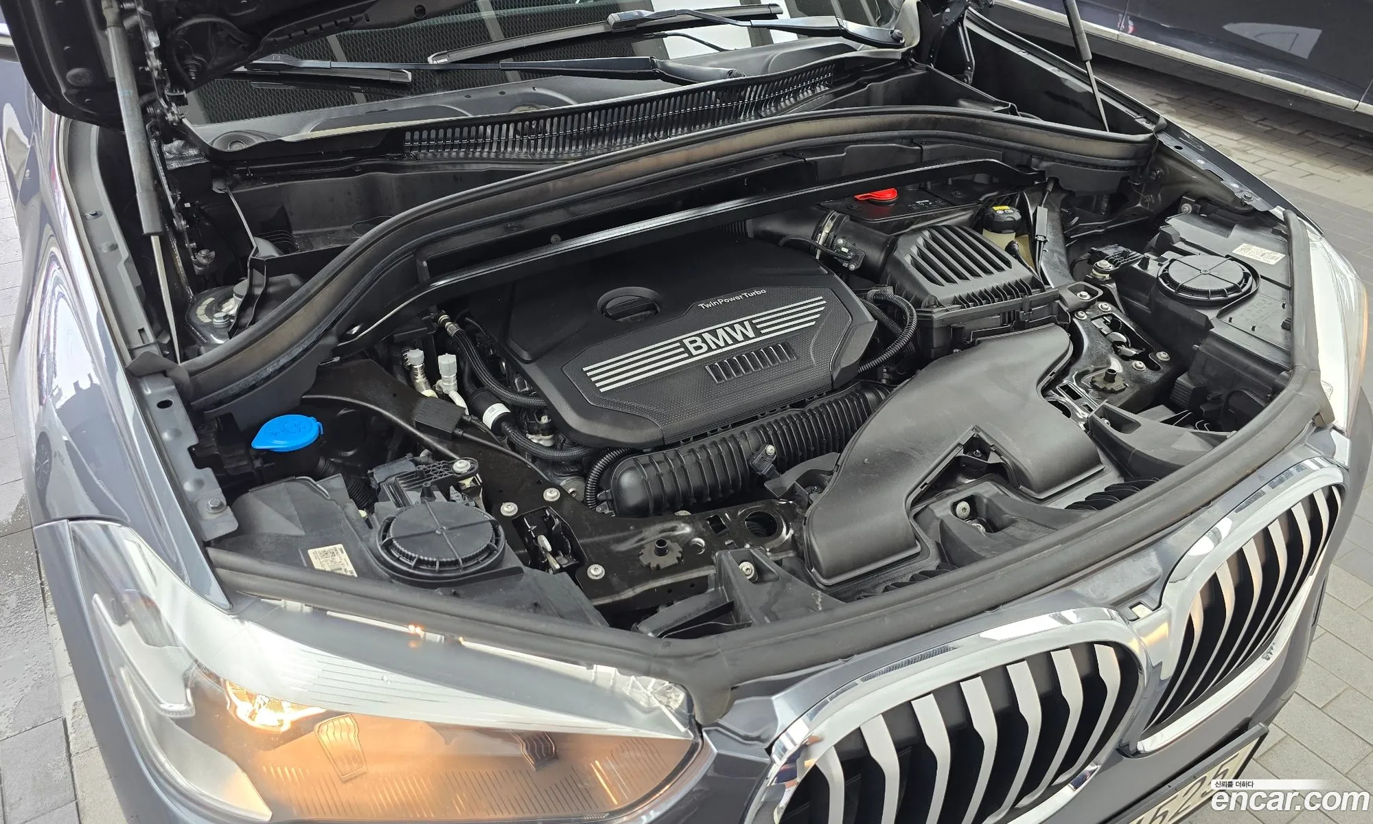 BMW X1 2022 WBA11DG06N5V32956 — 15