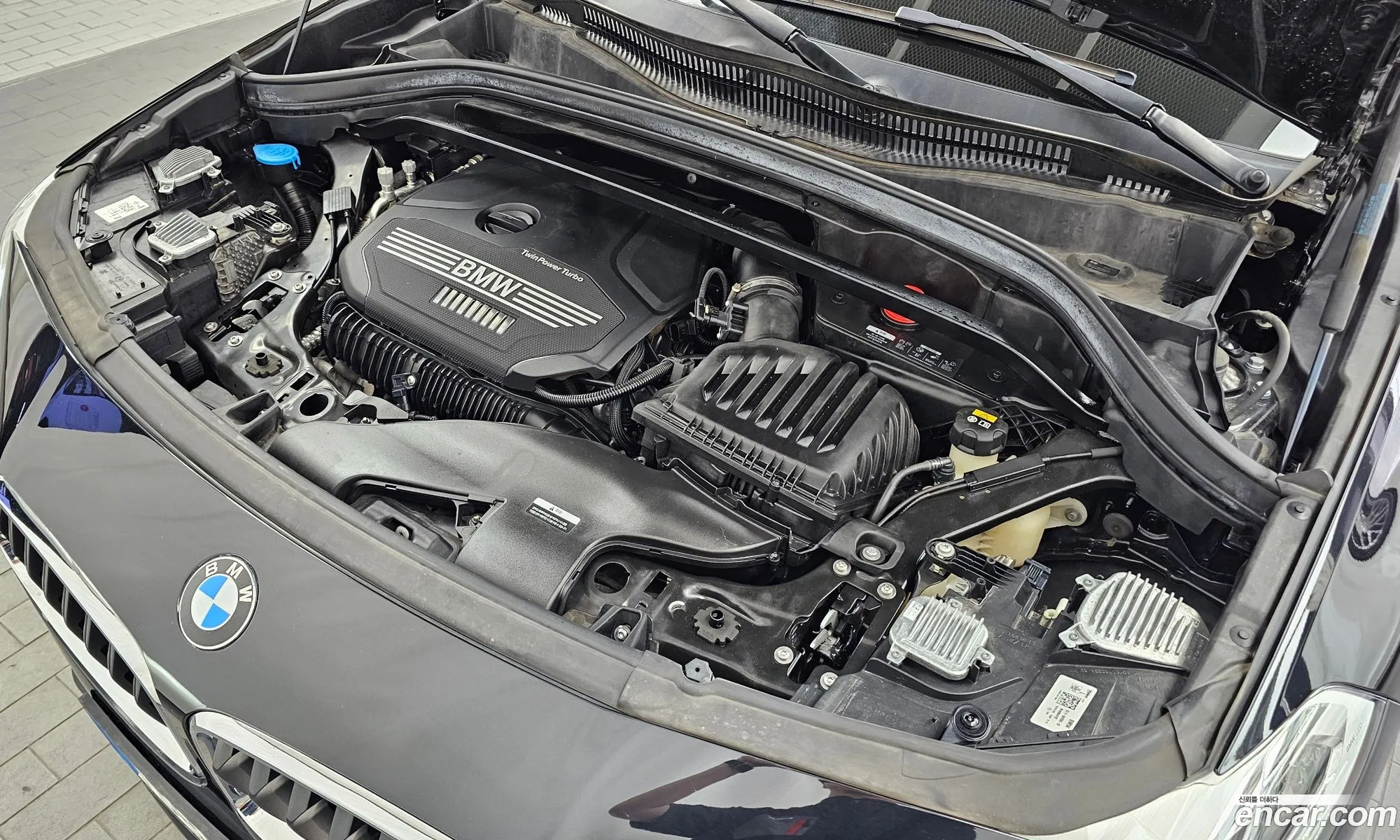 BMW X2 2022 WBA11DF05N5U94024 — 3