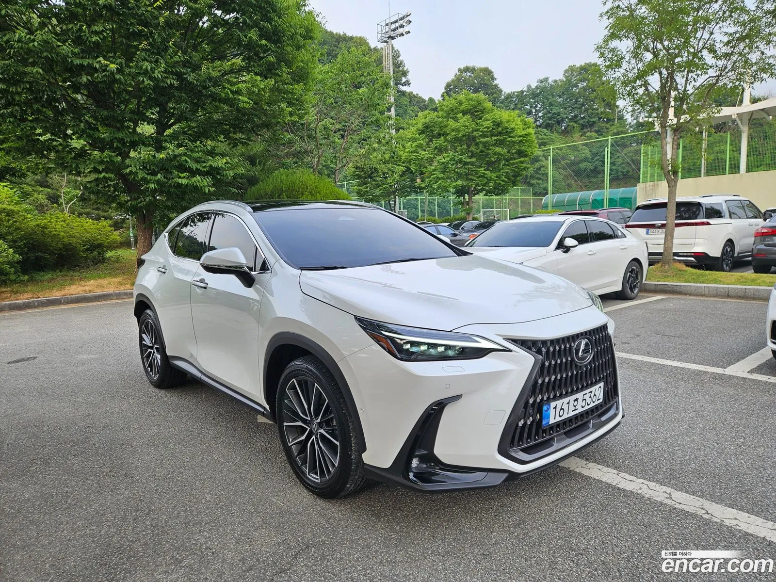 Lexus NX350h 2024 — 12