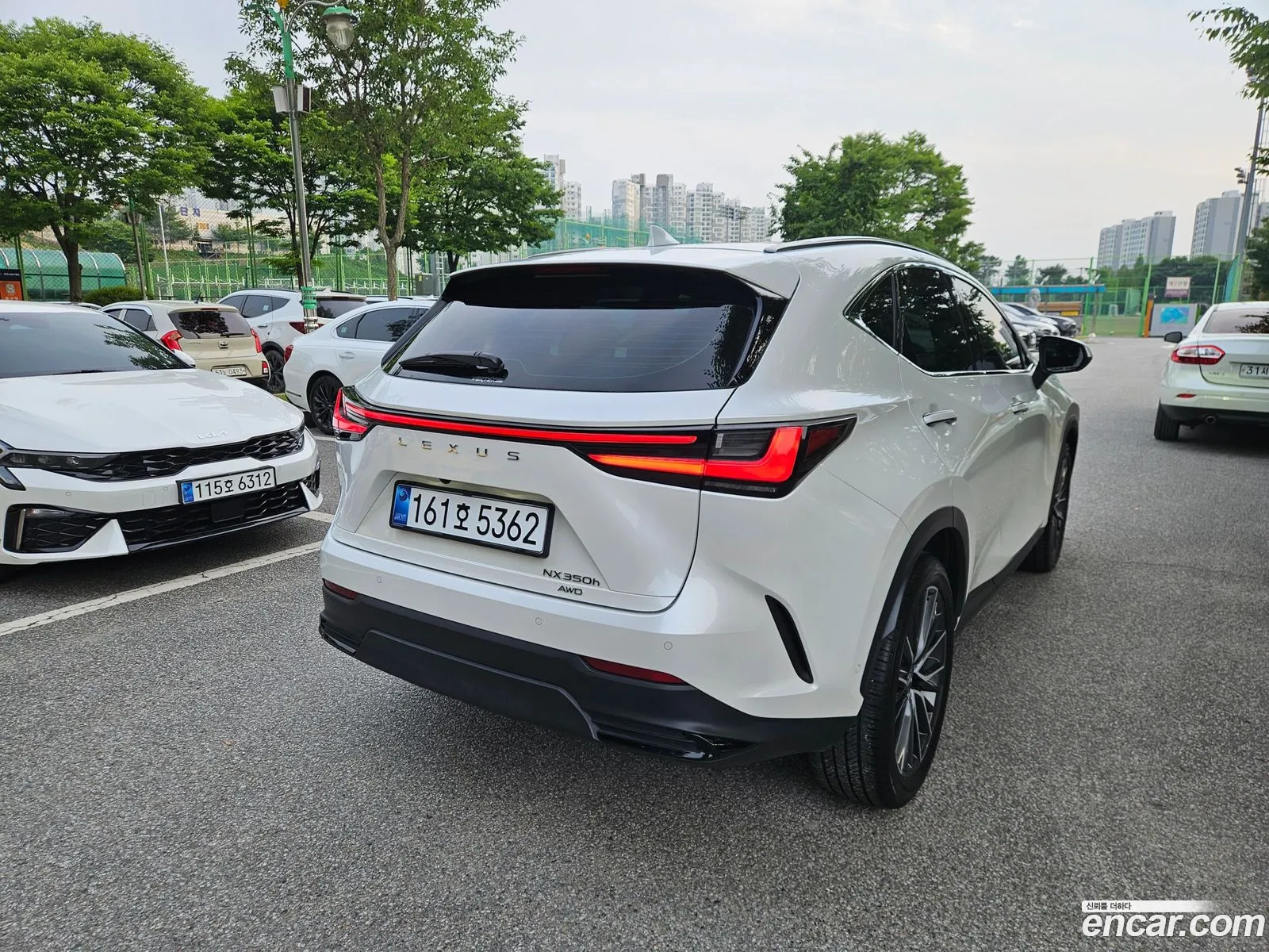 Lexus NX350h 2024 — 3
