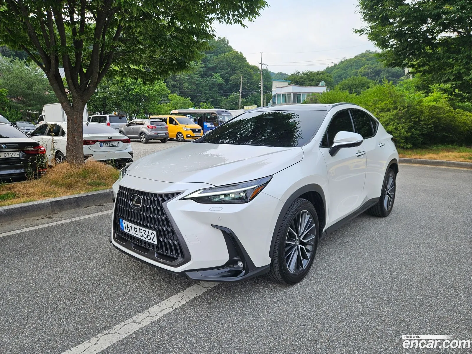 Lexus NX350h 2024 — 14
