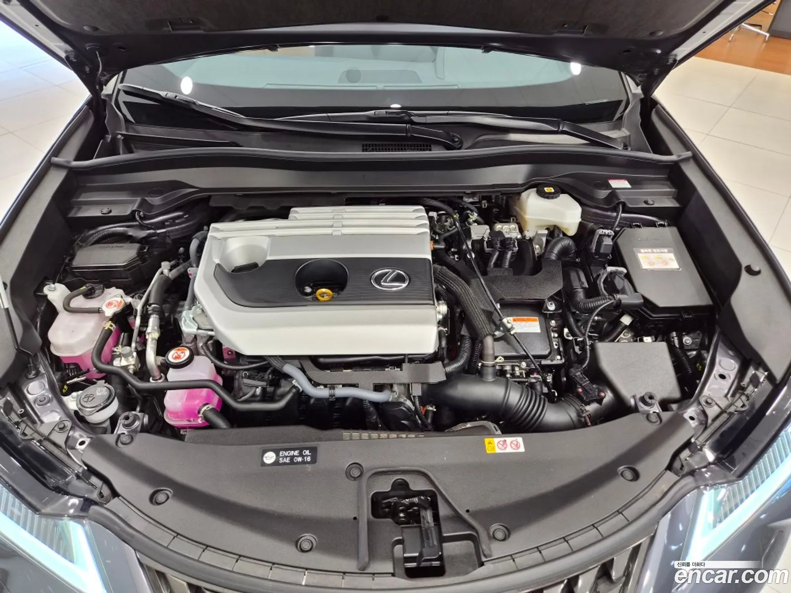 Lexus UX250h 2024 — 6