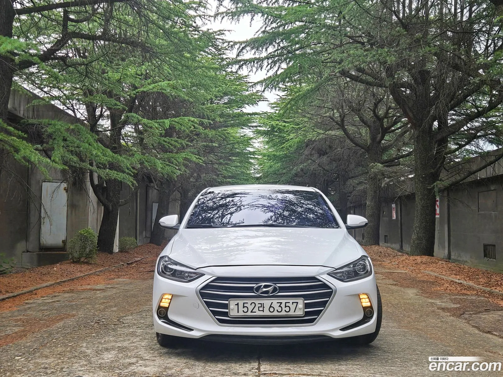 Hyundai Elantra AD 2015 — 2