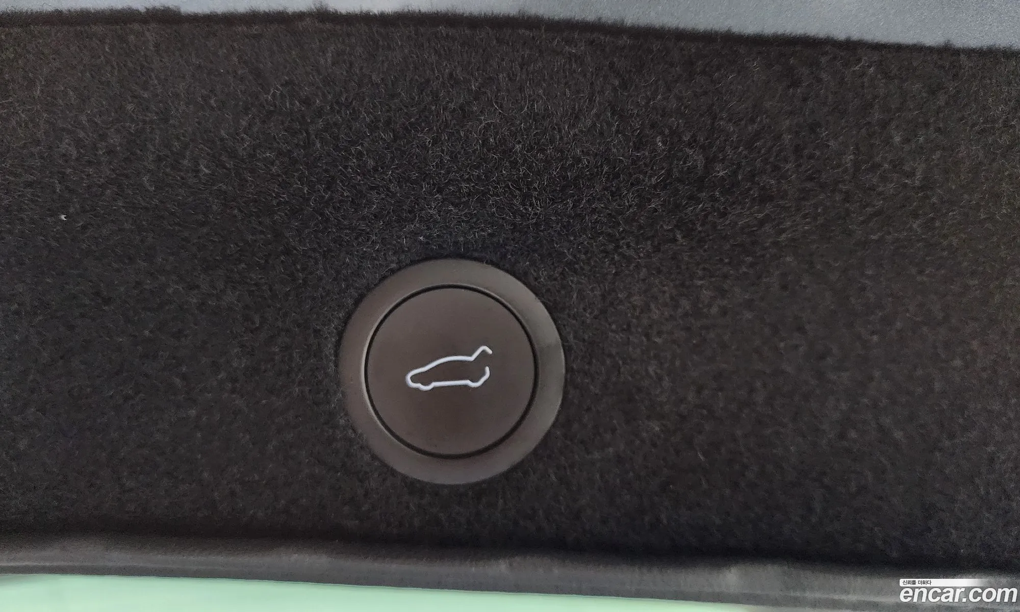 Tesla Model Y 2025 LRWYGCEK6SC046523 — 5