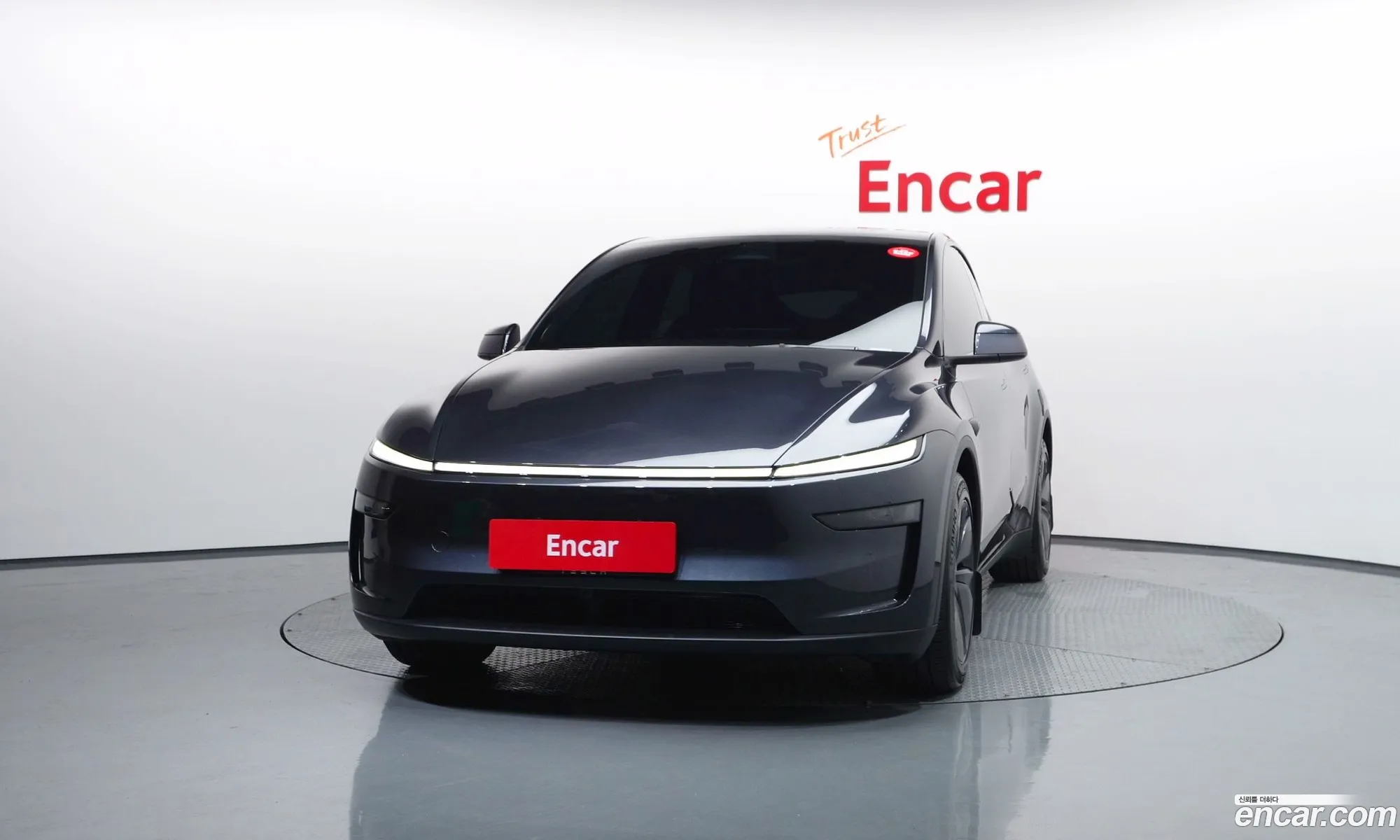 Tesla Model Y 2025 LRWYGCEK6SC046523 — 10