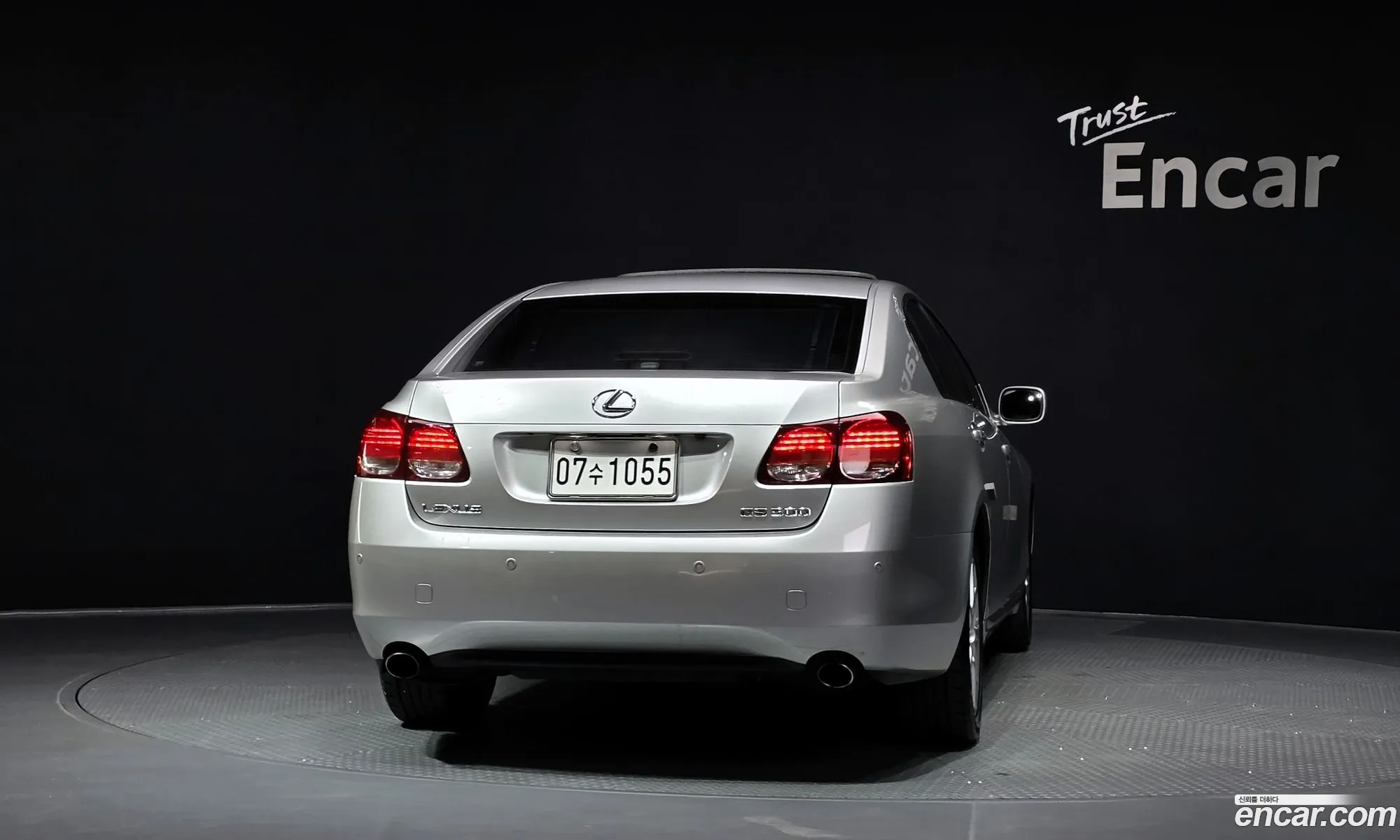 Lexus GS300 2006 JTHBH96S665038213 — 9