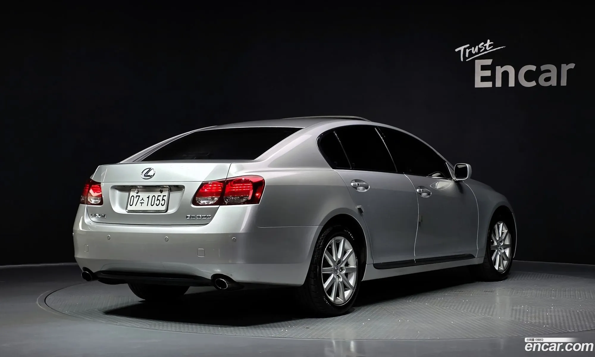 Lexus GS300 2006 JTHBH96S665038213 — 2