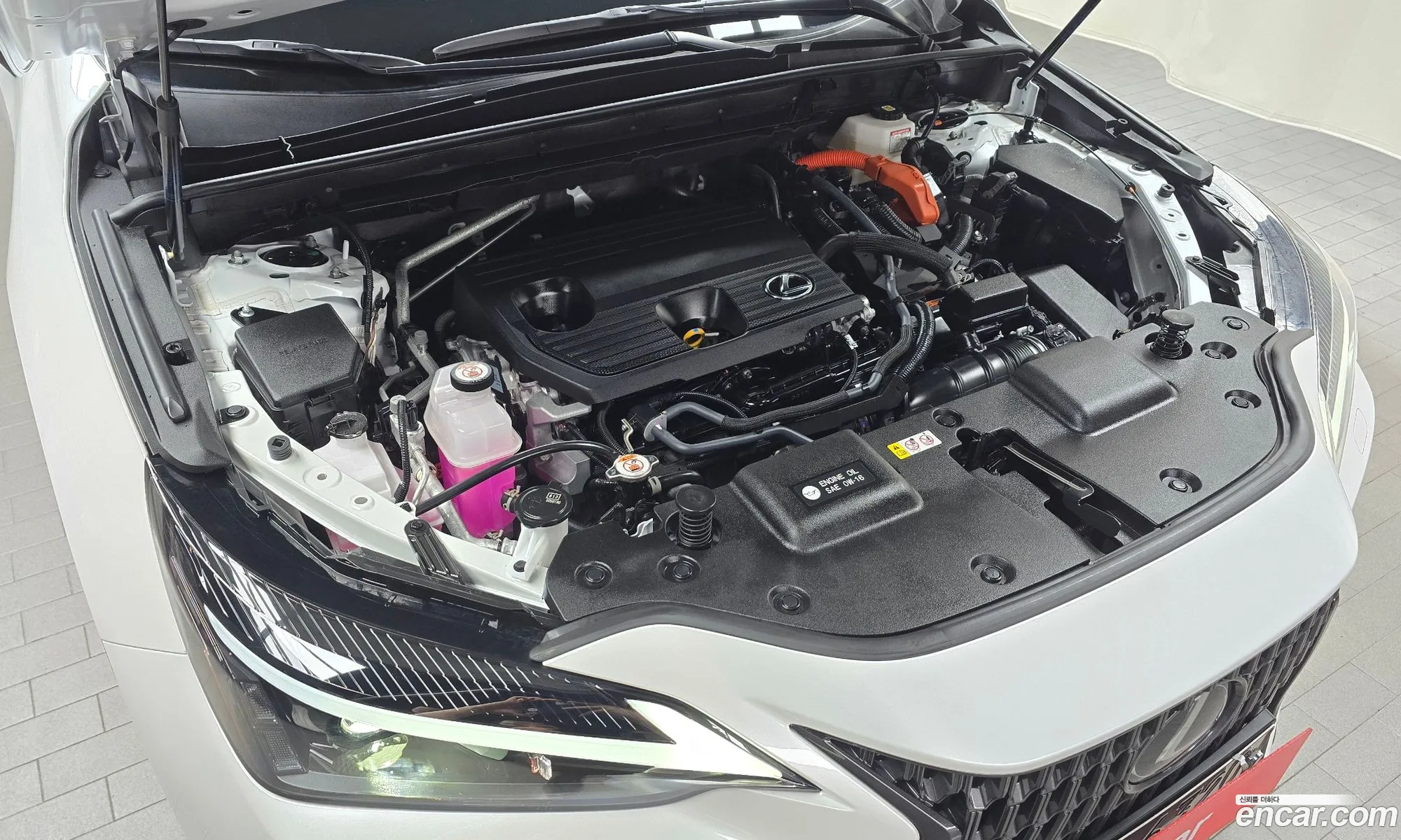 Lexus NX350h 2022 — 24