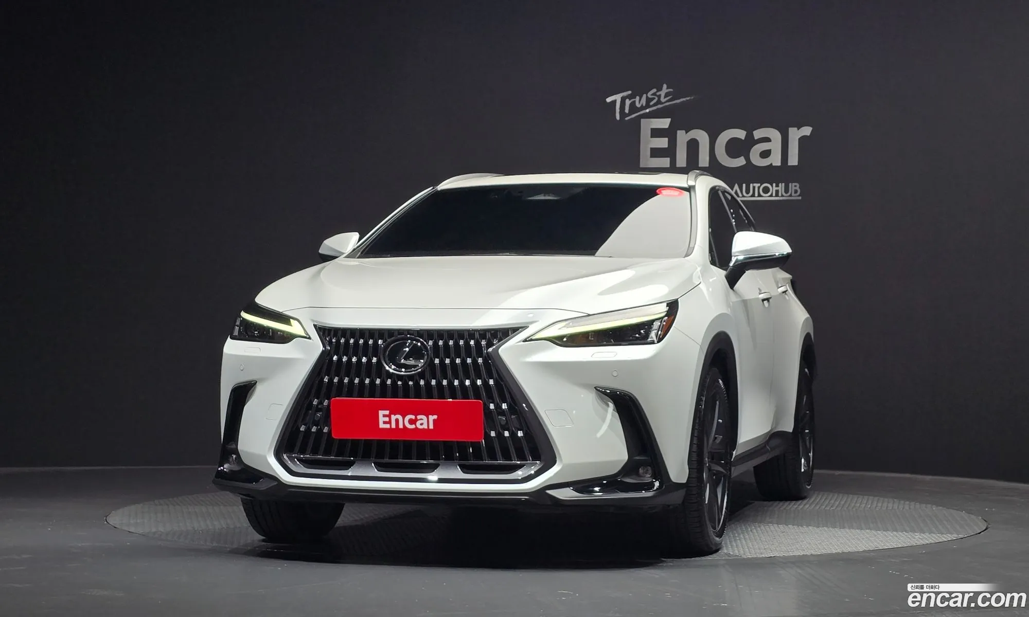 Lexus NX350h 2022 — 29