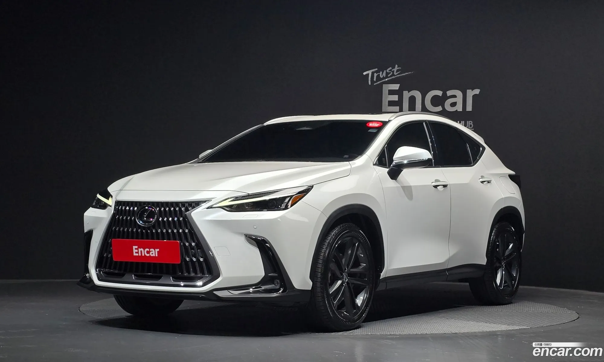 Lexus NX350h 2022 — 21