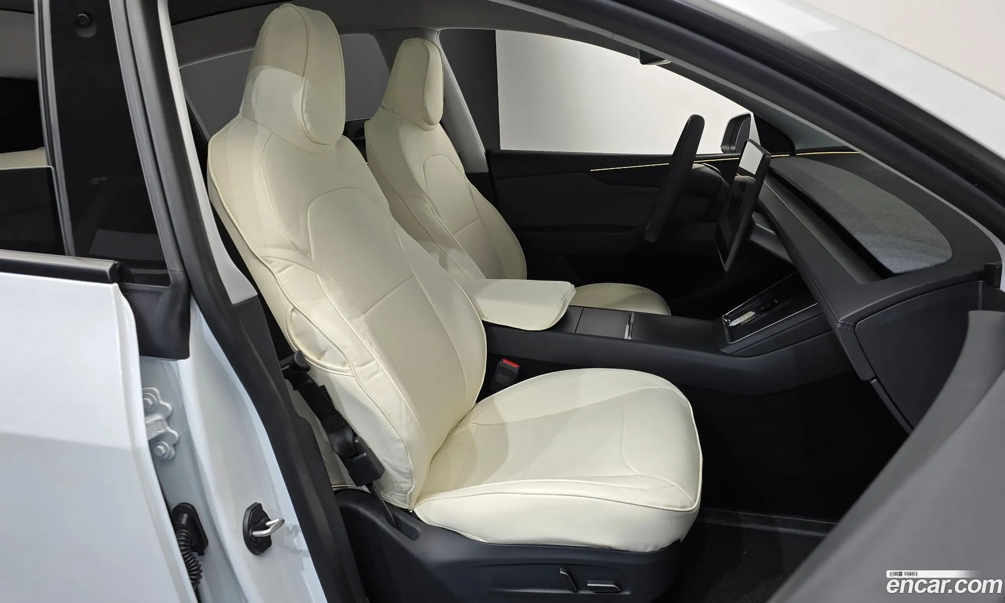 Tesla Model Y 2025 LRWYGCFJ0SC341803 — 19