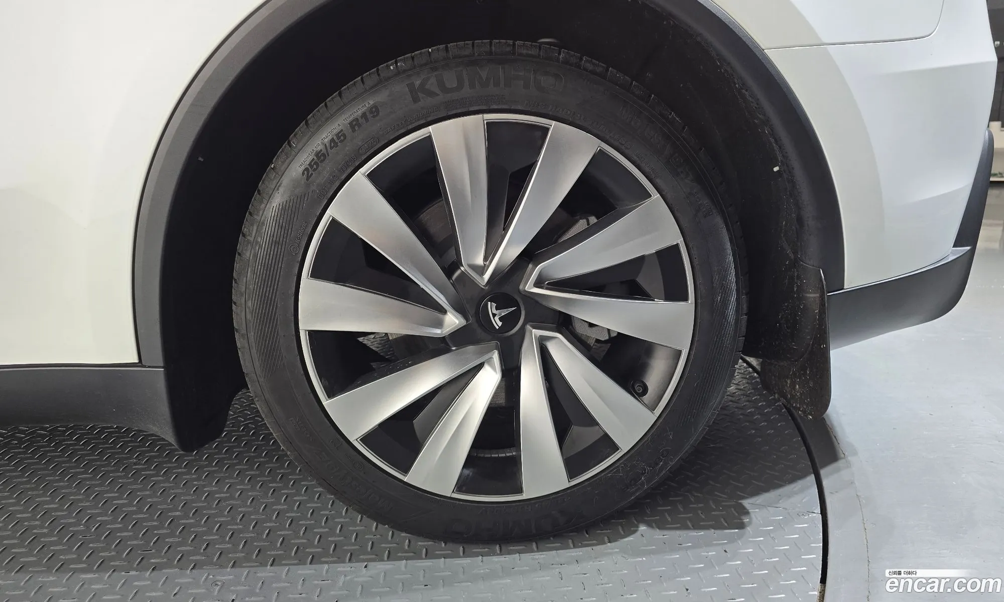 Tesla Model Y 2025 LRWYGCFJ0SC341803 — 11