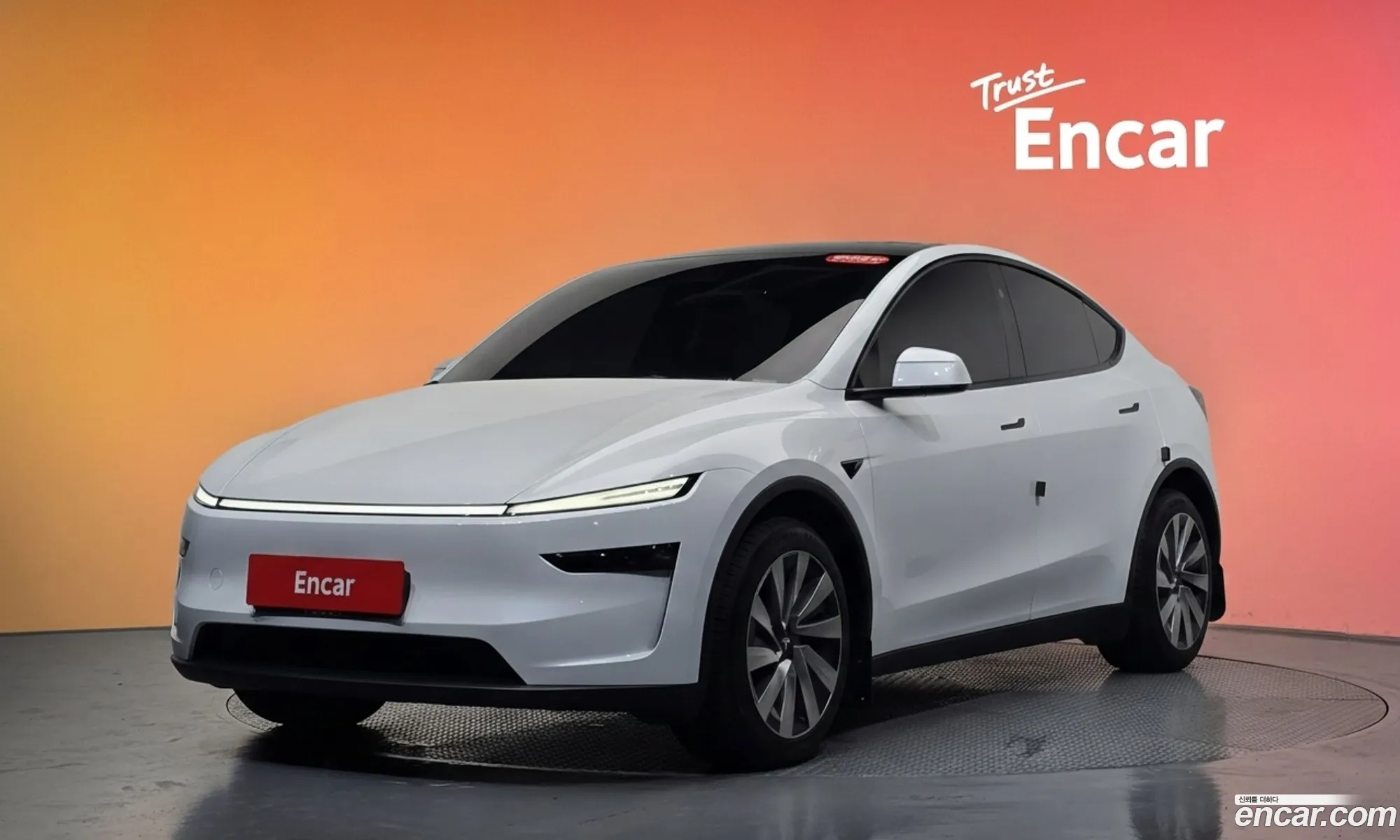 Tesla Model Y 2025 LRWYGCFJ0SC341803 — 24