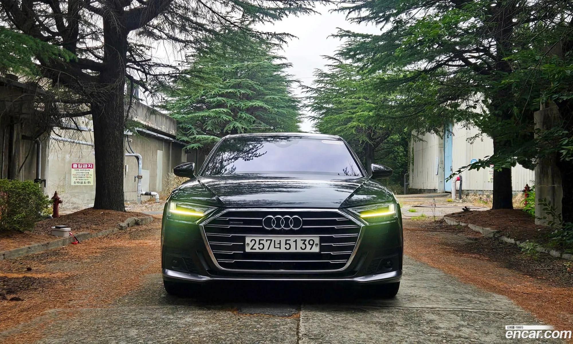 Audi A8 2020 — 3